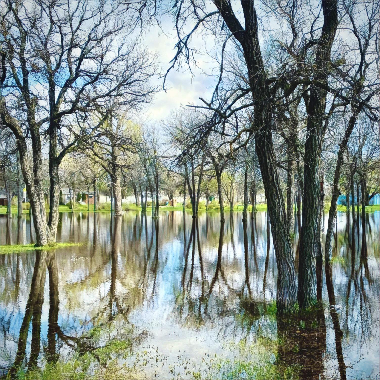 T.R. Hodgson Park r/Winnipeg
