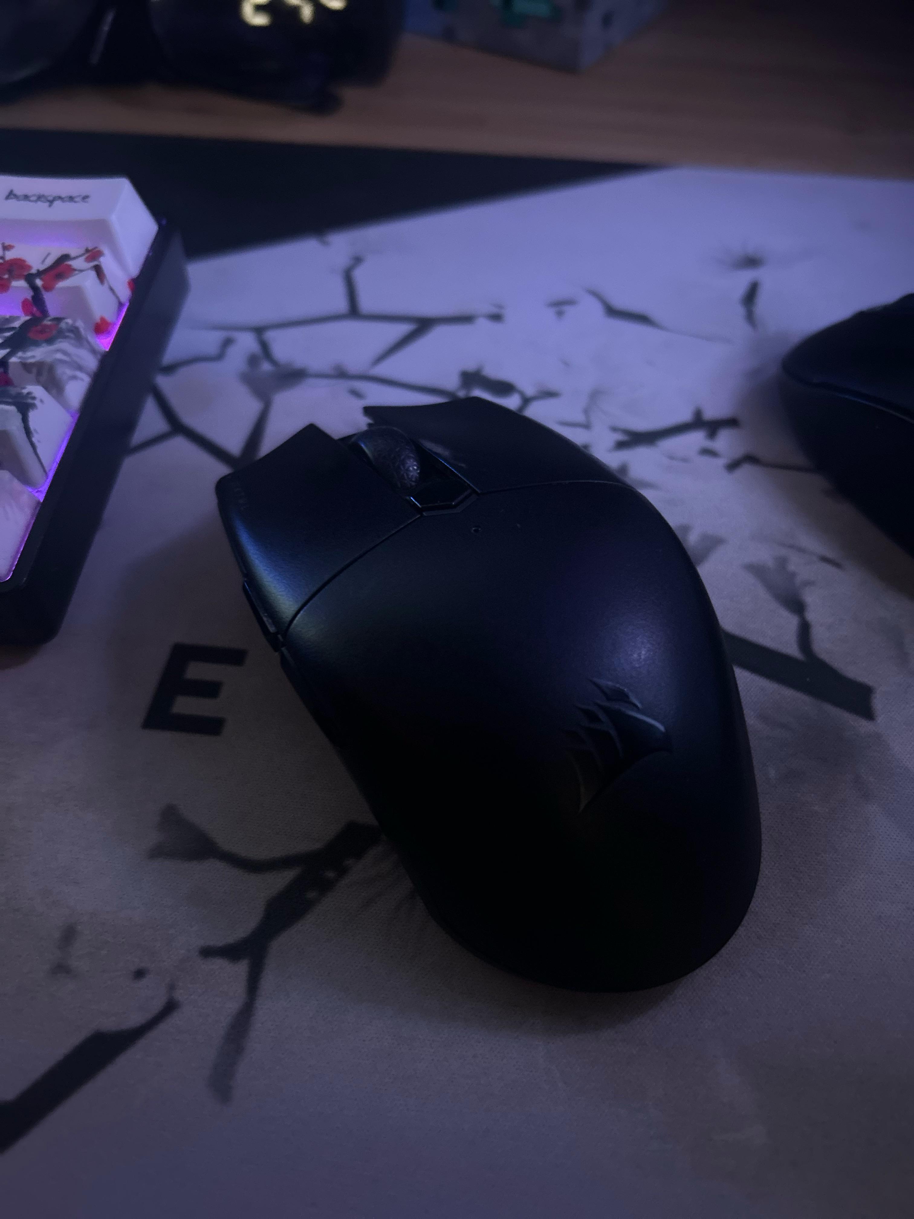 Corsair mouse not working : r/Corsair