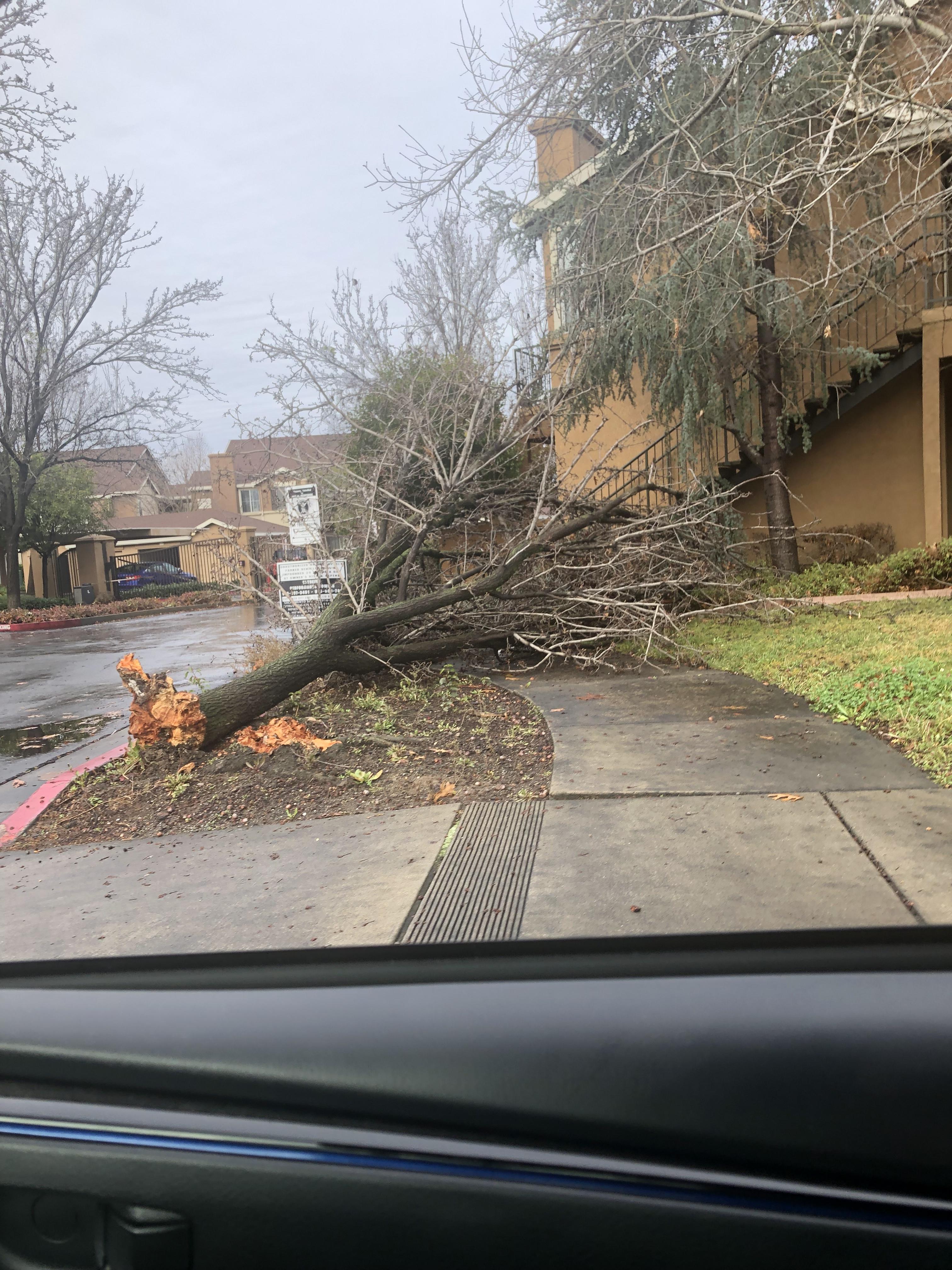 Just discovered this sub a few days ago! For my first post, here is the