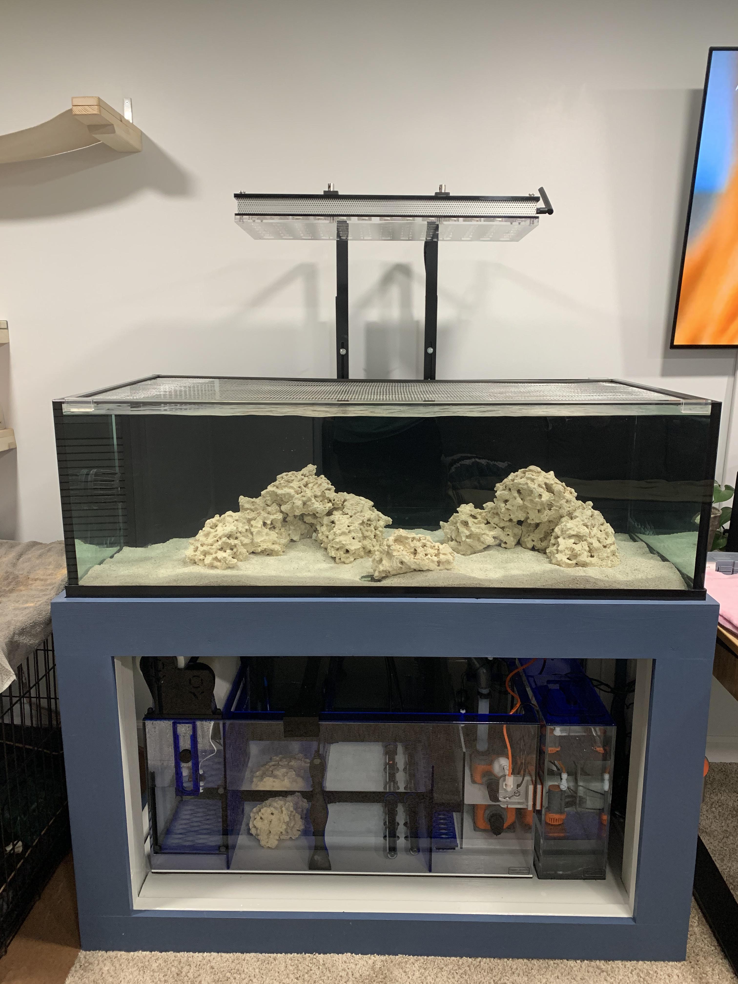 Update on the 80g Shallow tank r/ReefTank