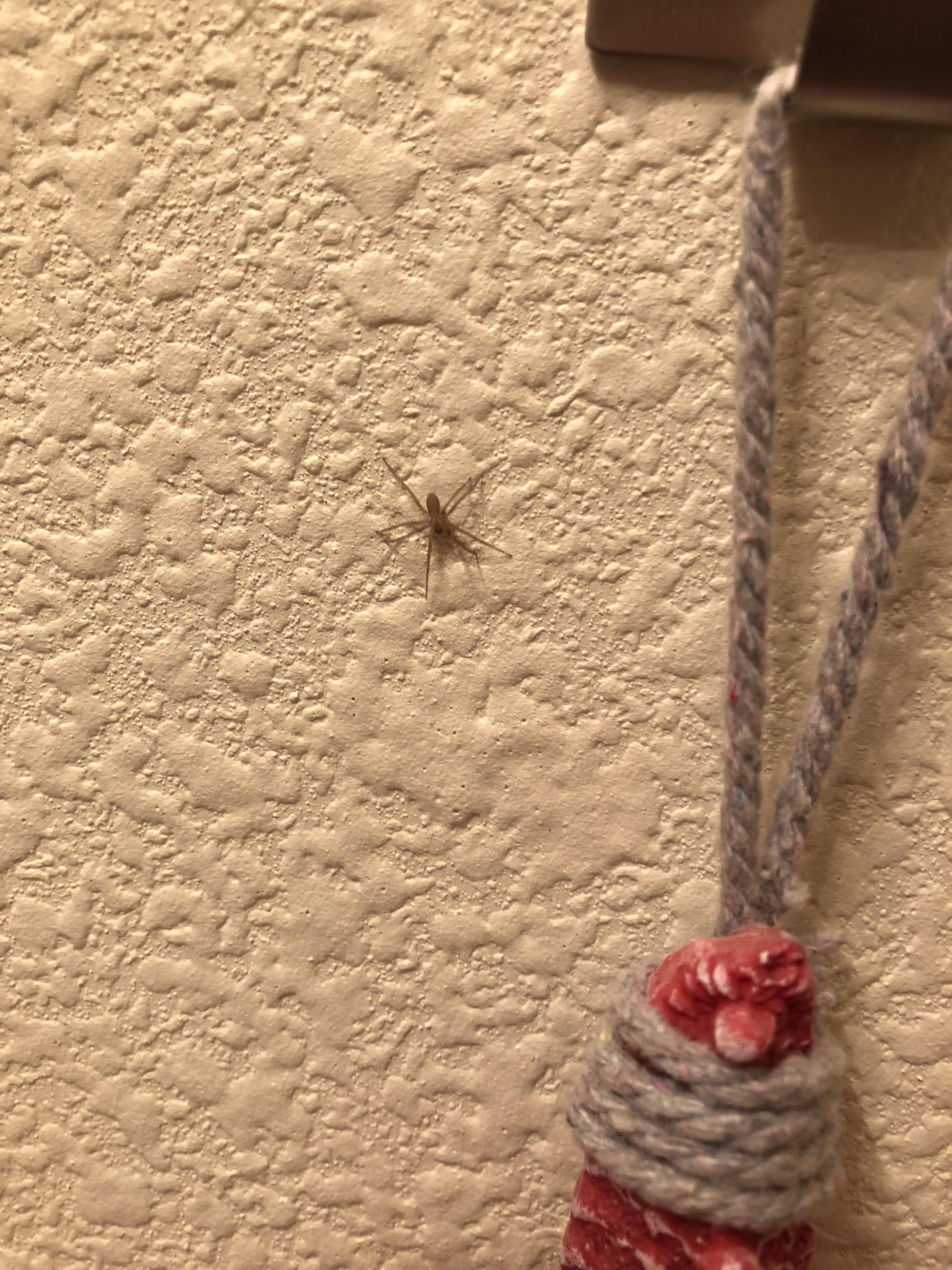 I know you’re all probably sick of this question...but is this a baby