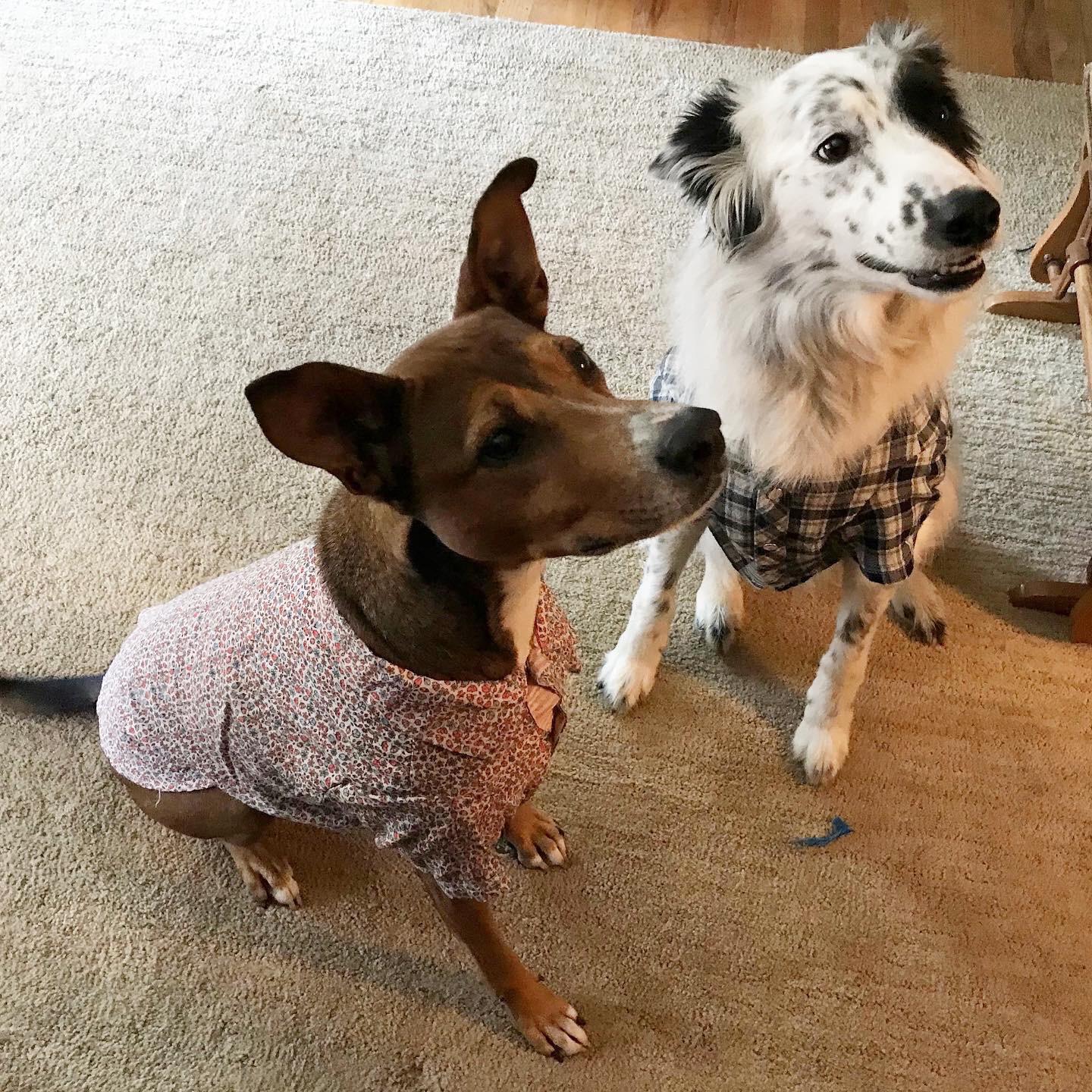 75 best u/captinpeenut images on Pholder | Showerbeer, Aww and U