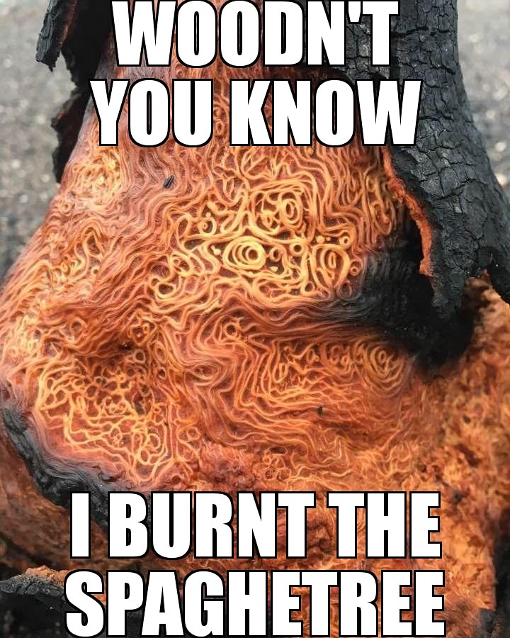 That's a spicy meataball! r/memes