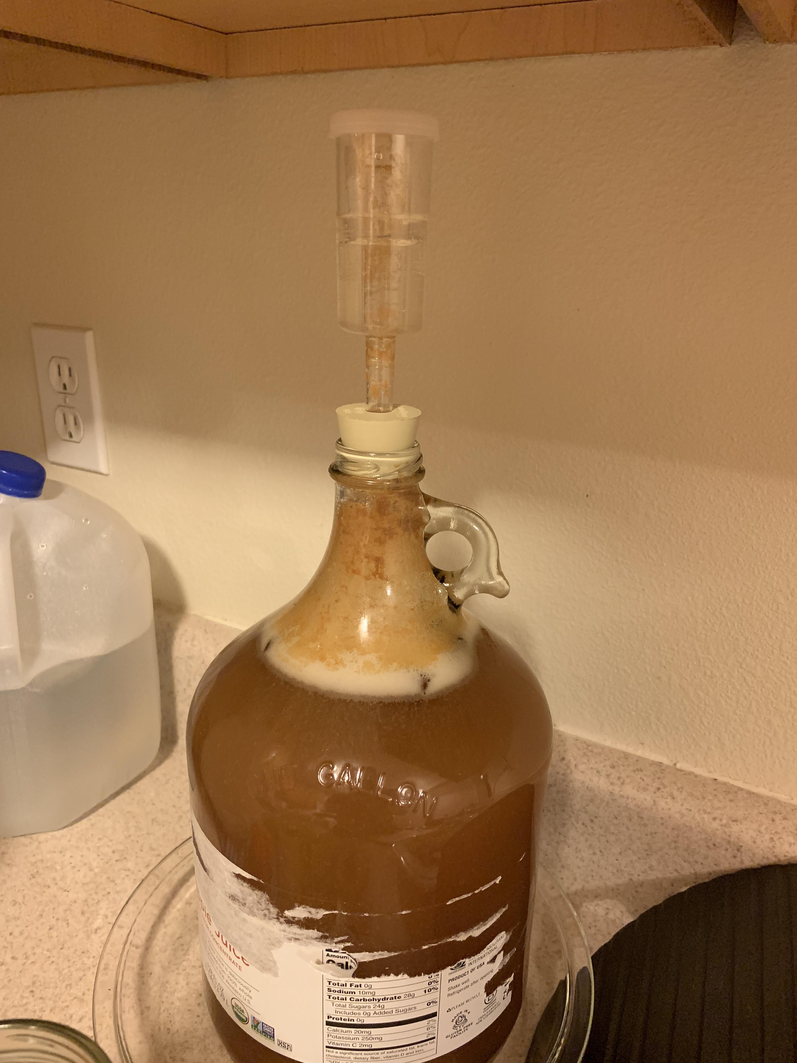 Why does my cyser keep bubbling threw the airlock. It’s done it twice