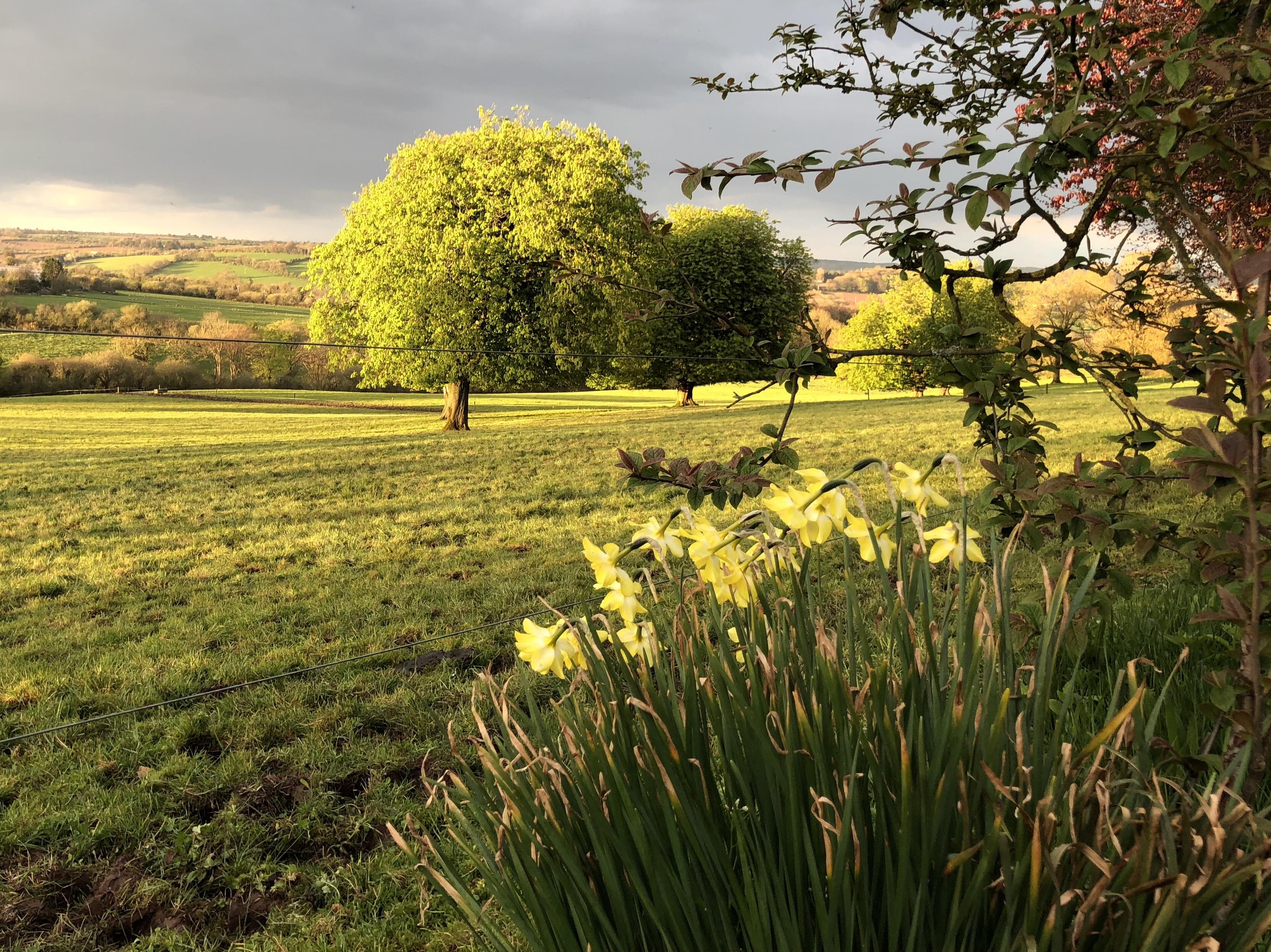 Ireland, you beauty. r/ireland