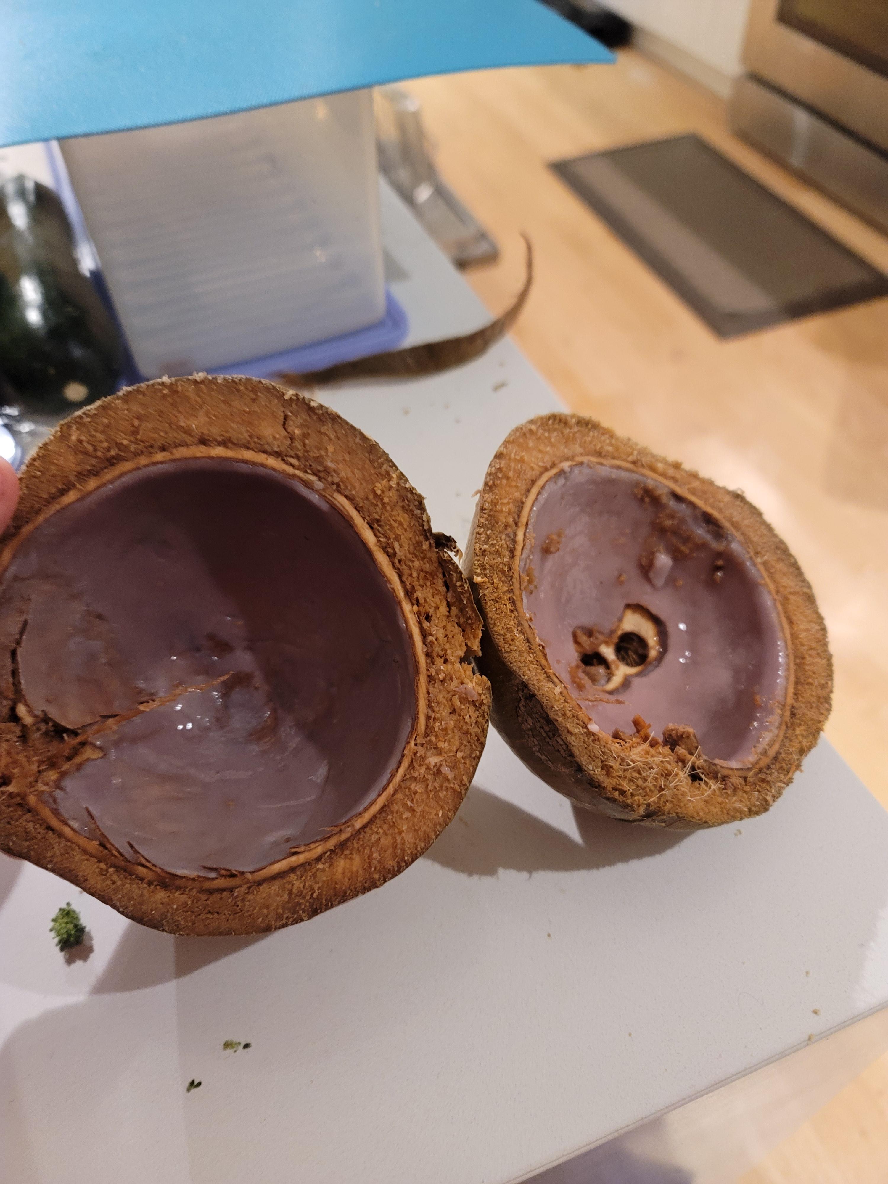 Cut open a coconut today, and it was purple! This has no correlation to