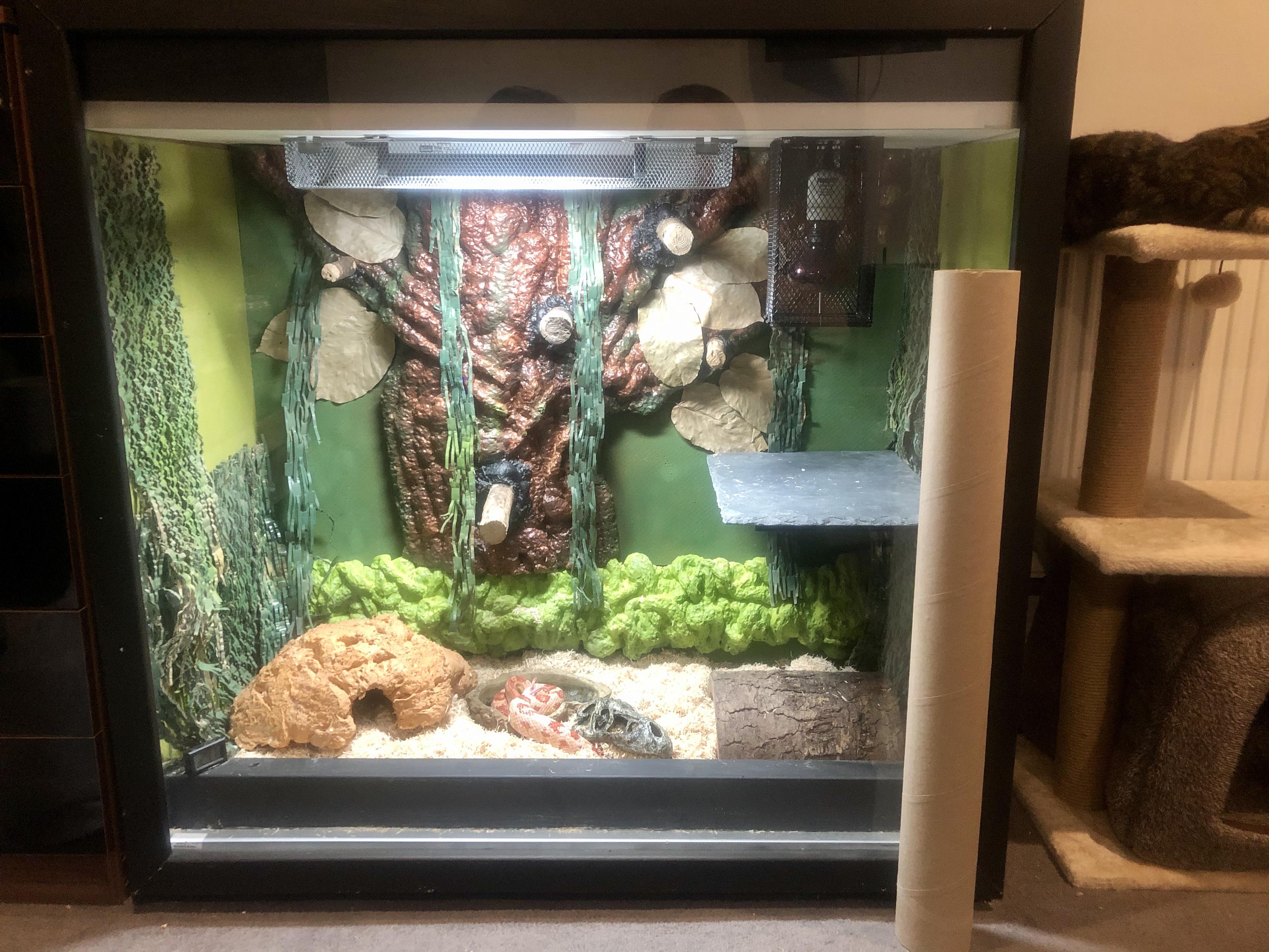 Snake Vivarium