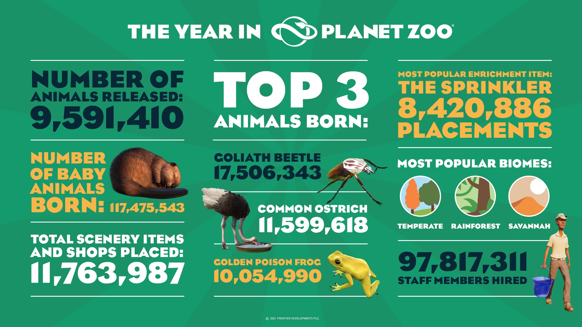 A year in Zoo 2021