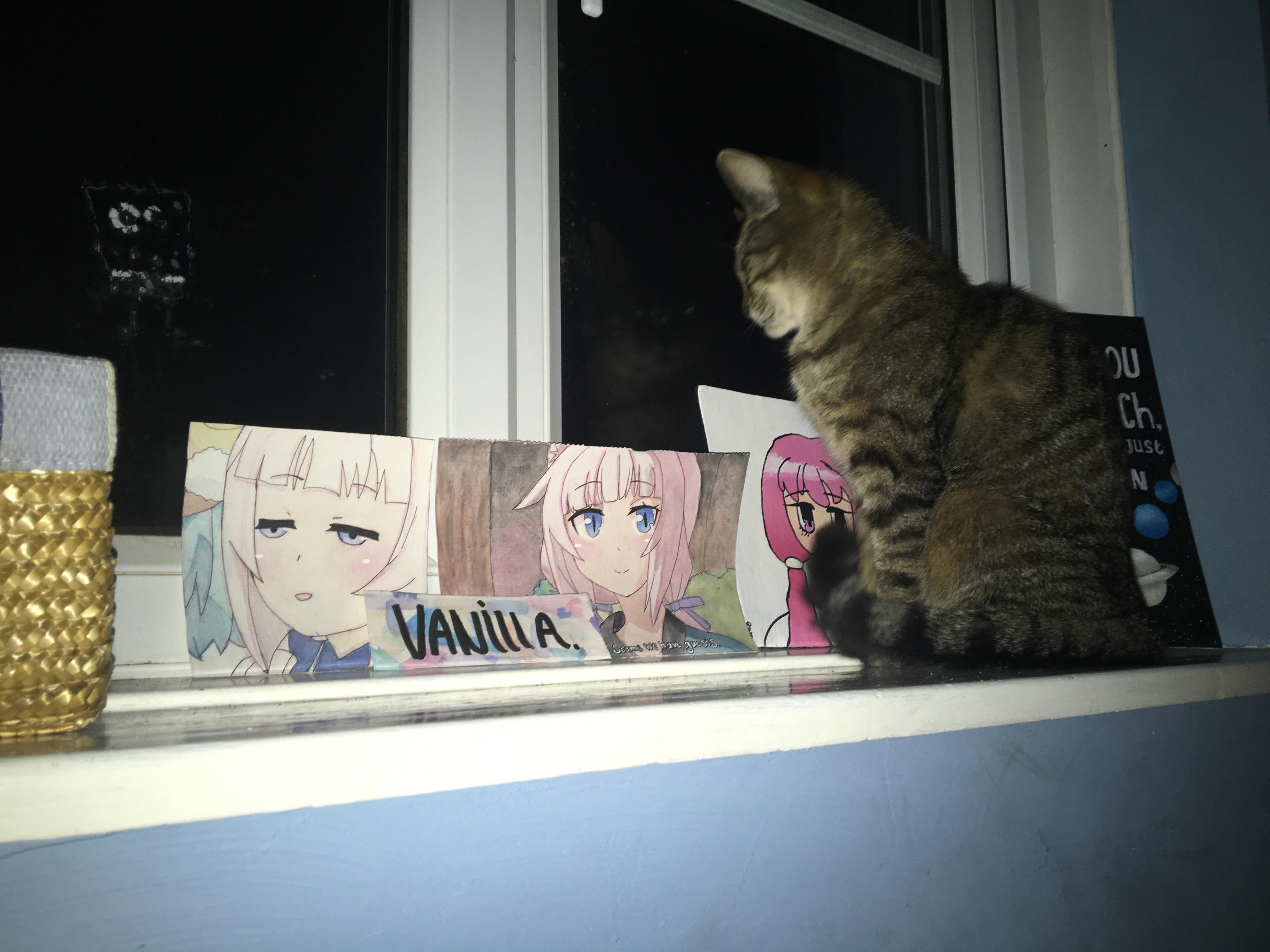 cat vibing with the best catgirl NEKOPARAGAME