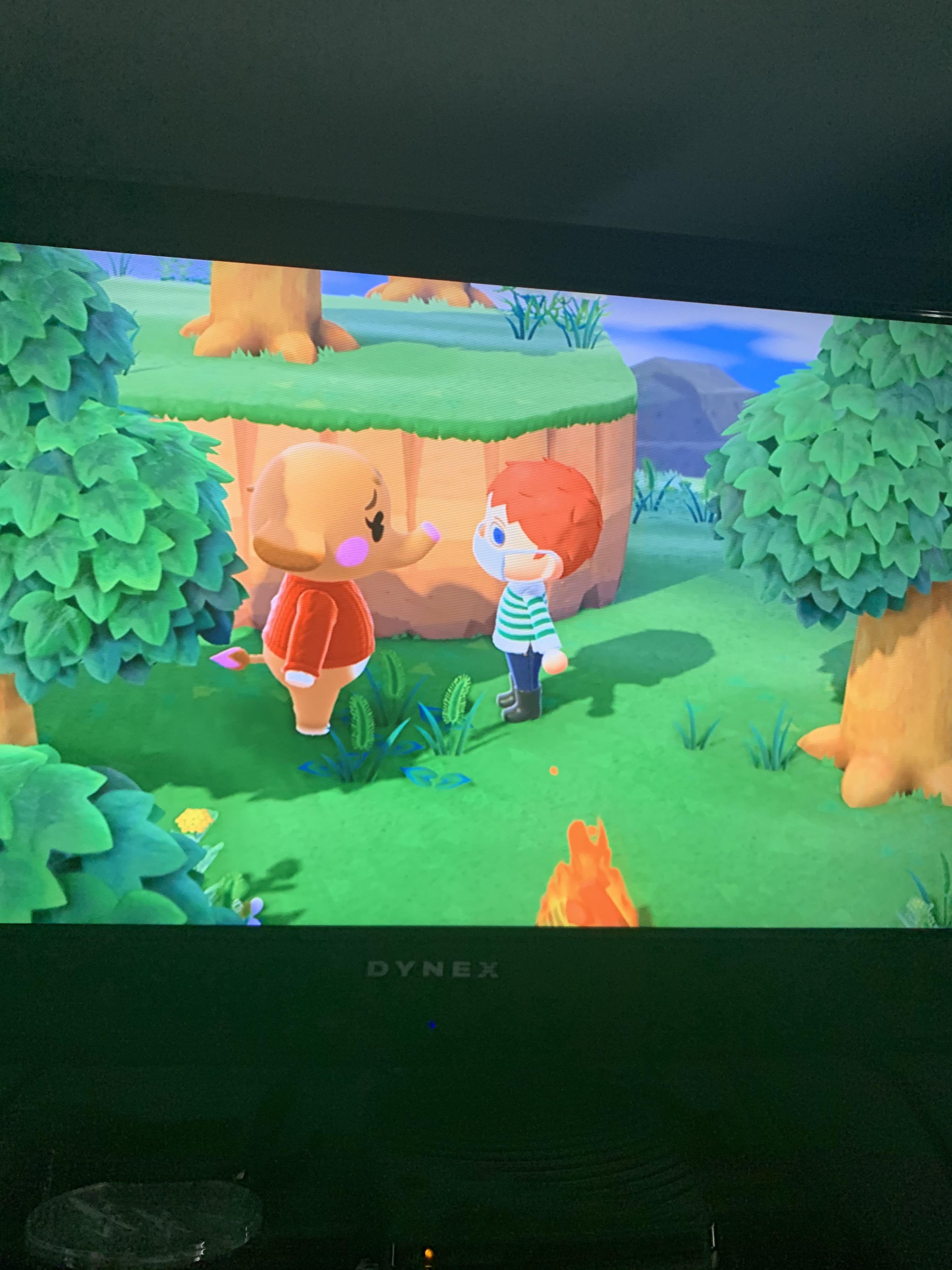 When you buy 14 nook miles tickets to search for villagers but you find someone on your list on