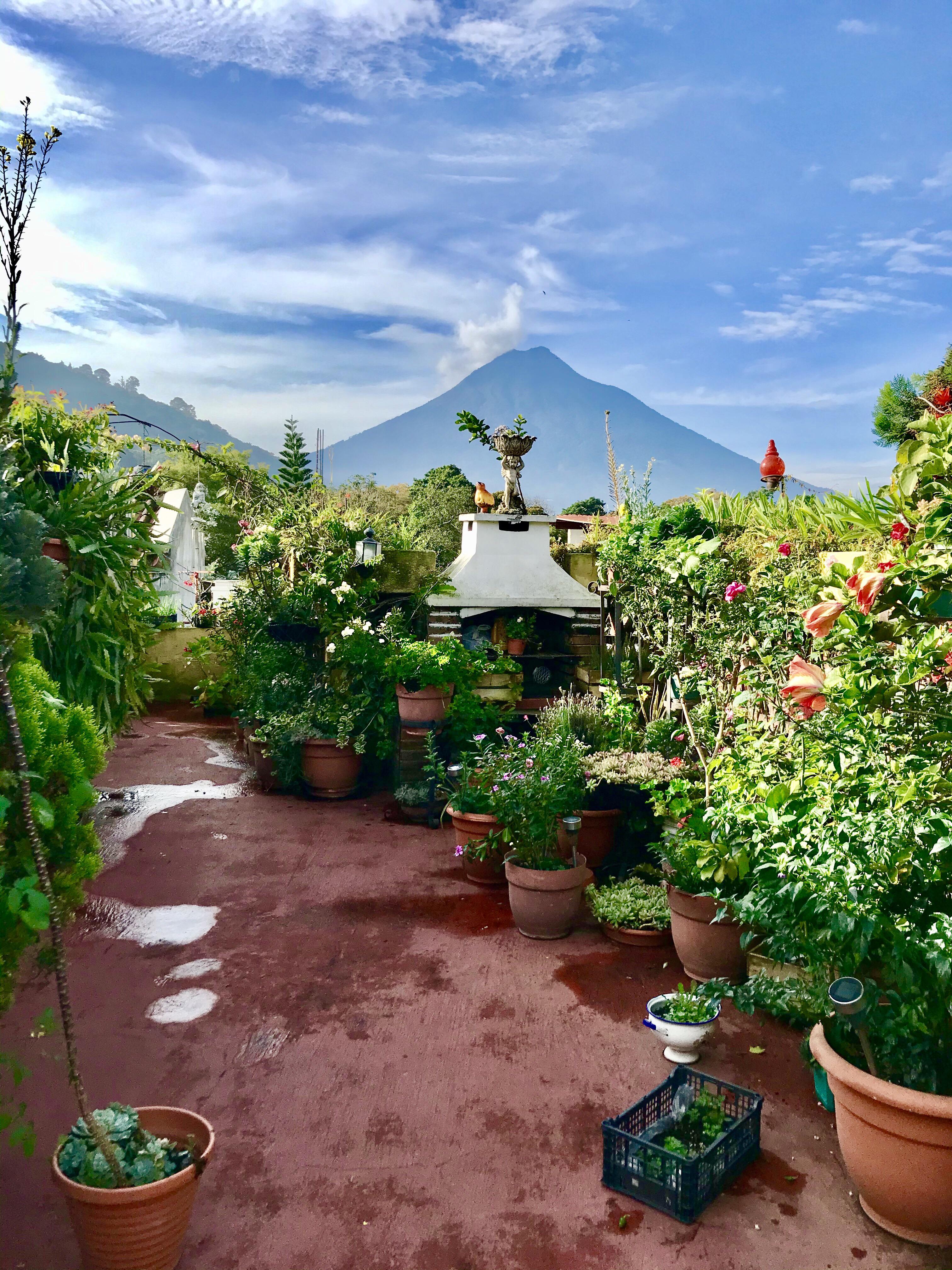Airbnb rooftop in Antigua, Guatemala! What a place to wake up to 😍 r