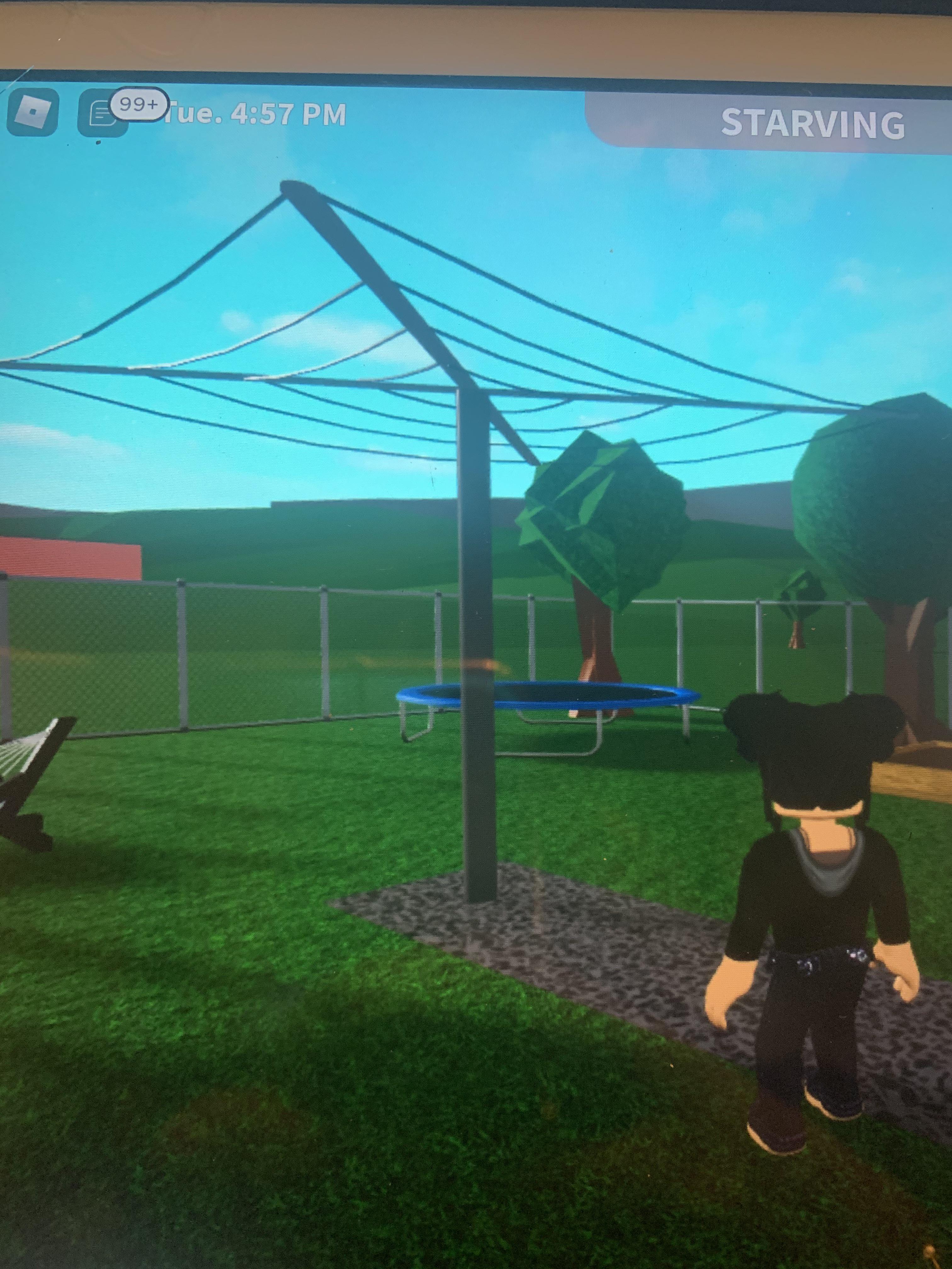 I made a washing line 😁 r/Bloxburg