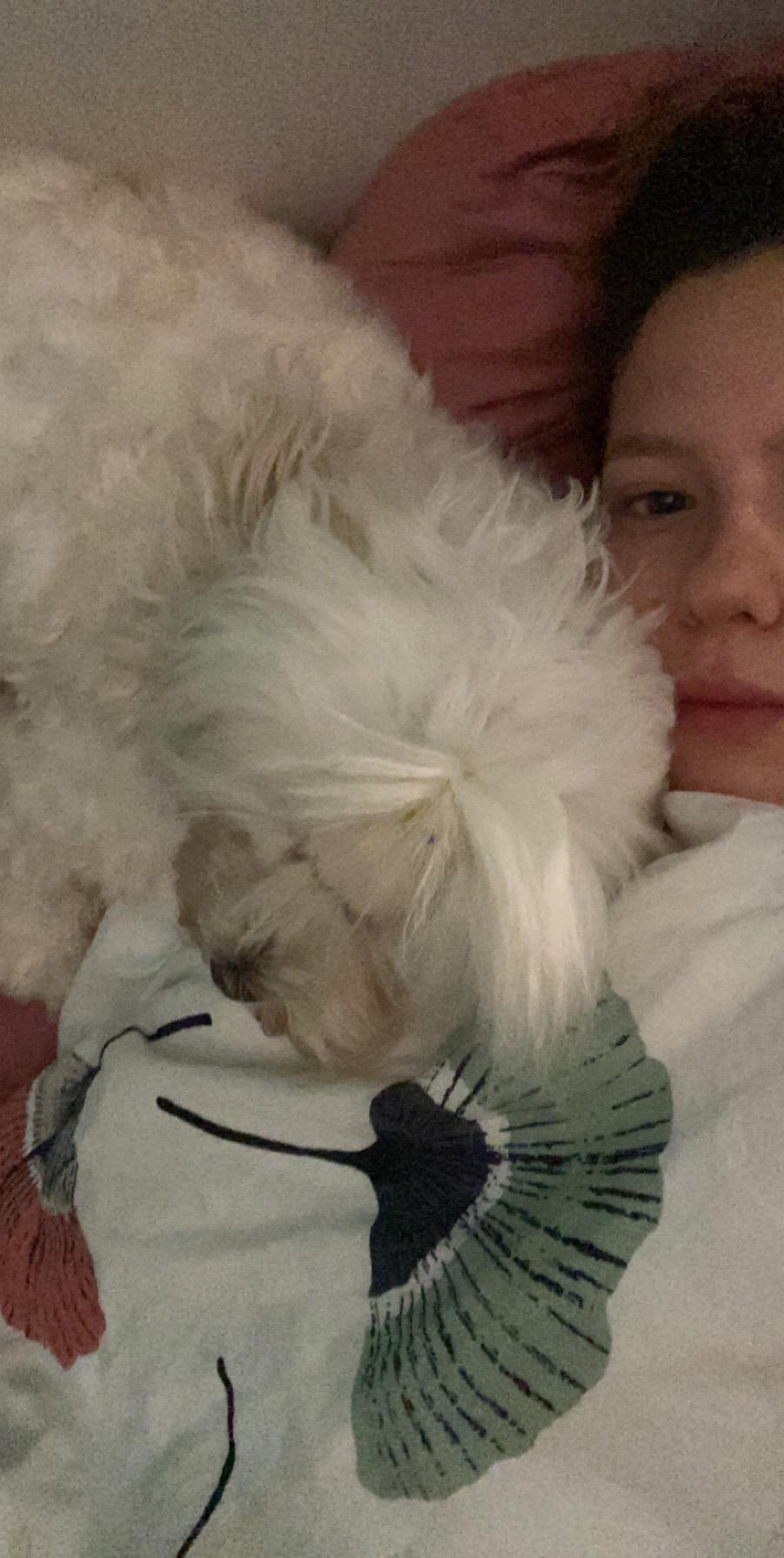 My dog likes to sleep with her head on my shoulder! r/aww