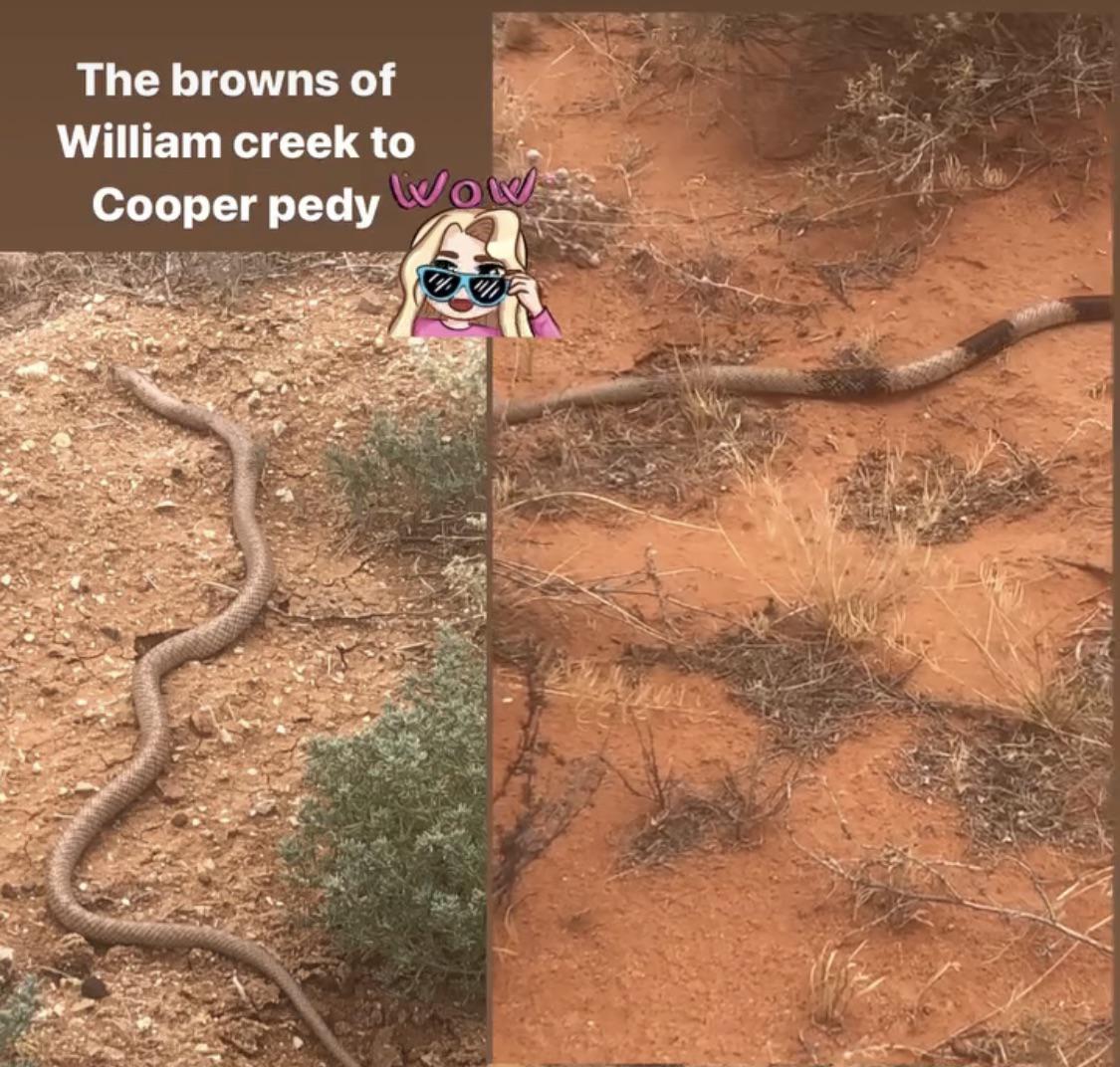 From my friend what is the right one? Inland Australia. Between western