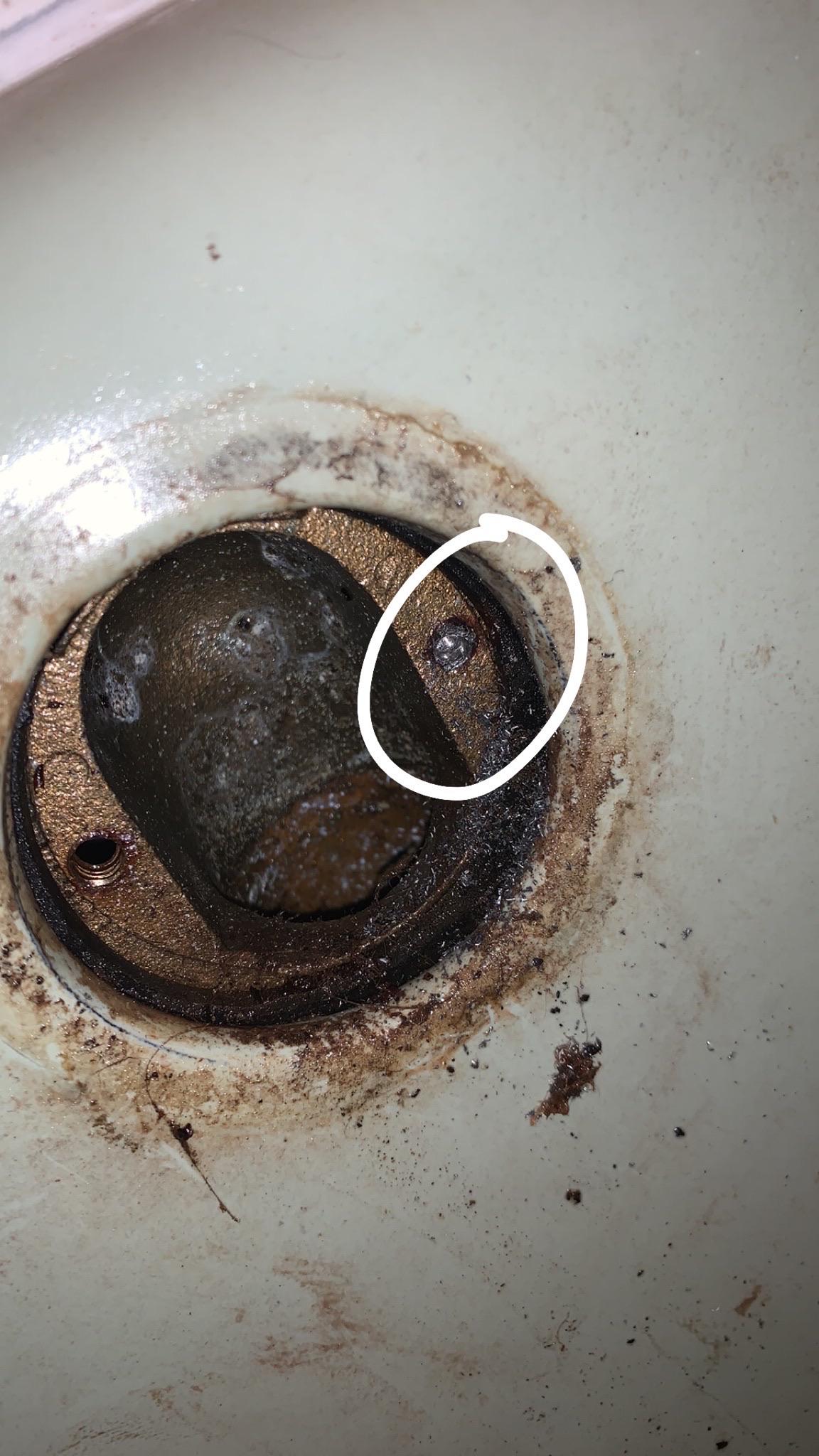 Changing the drain knob in my main bathroom and a screw broke off 🙄 r