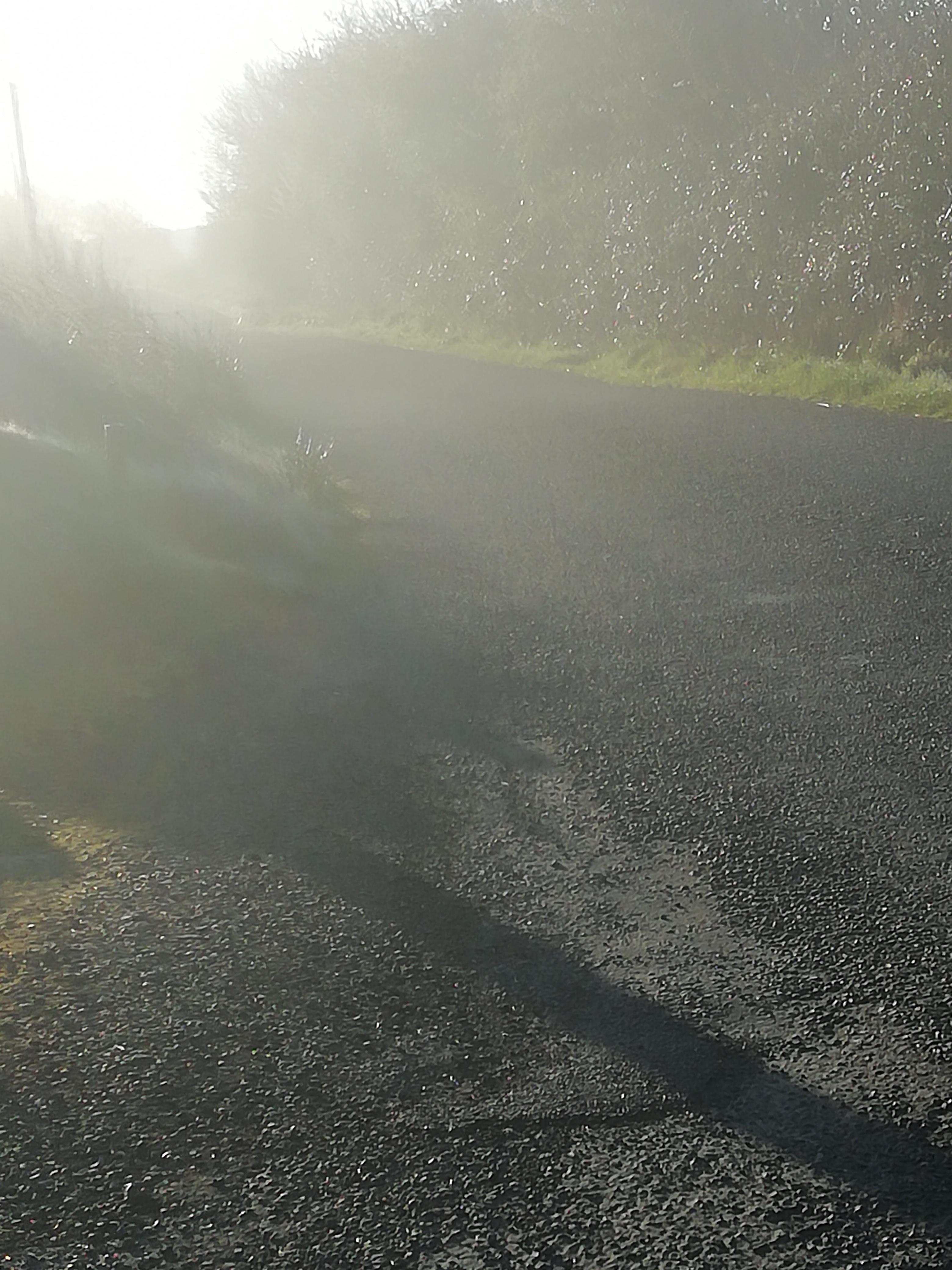 Kilmaley, Co.Clare March 28 2019 r/ireland