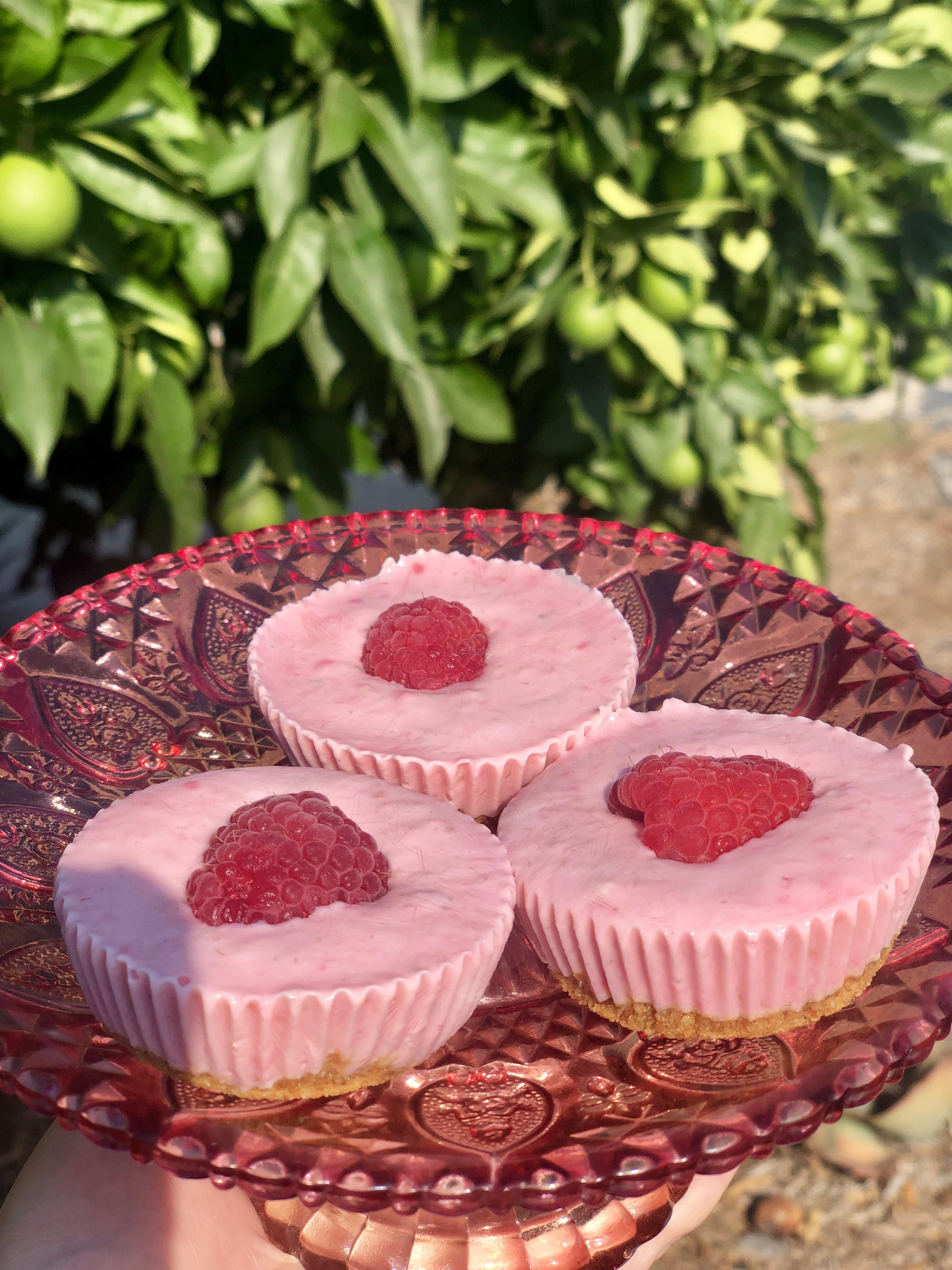 I made frozen raspberry greek yogurt bites with a granola crust bottom