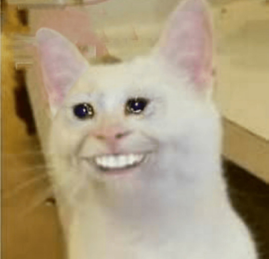 Sad cat (showing a decent smile) r/sadcats