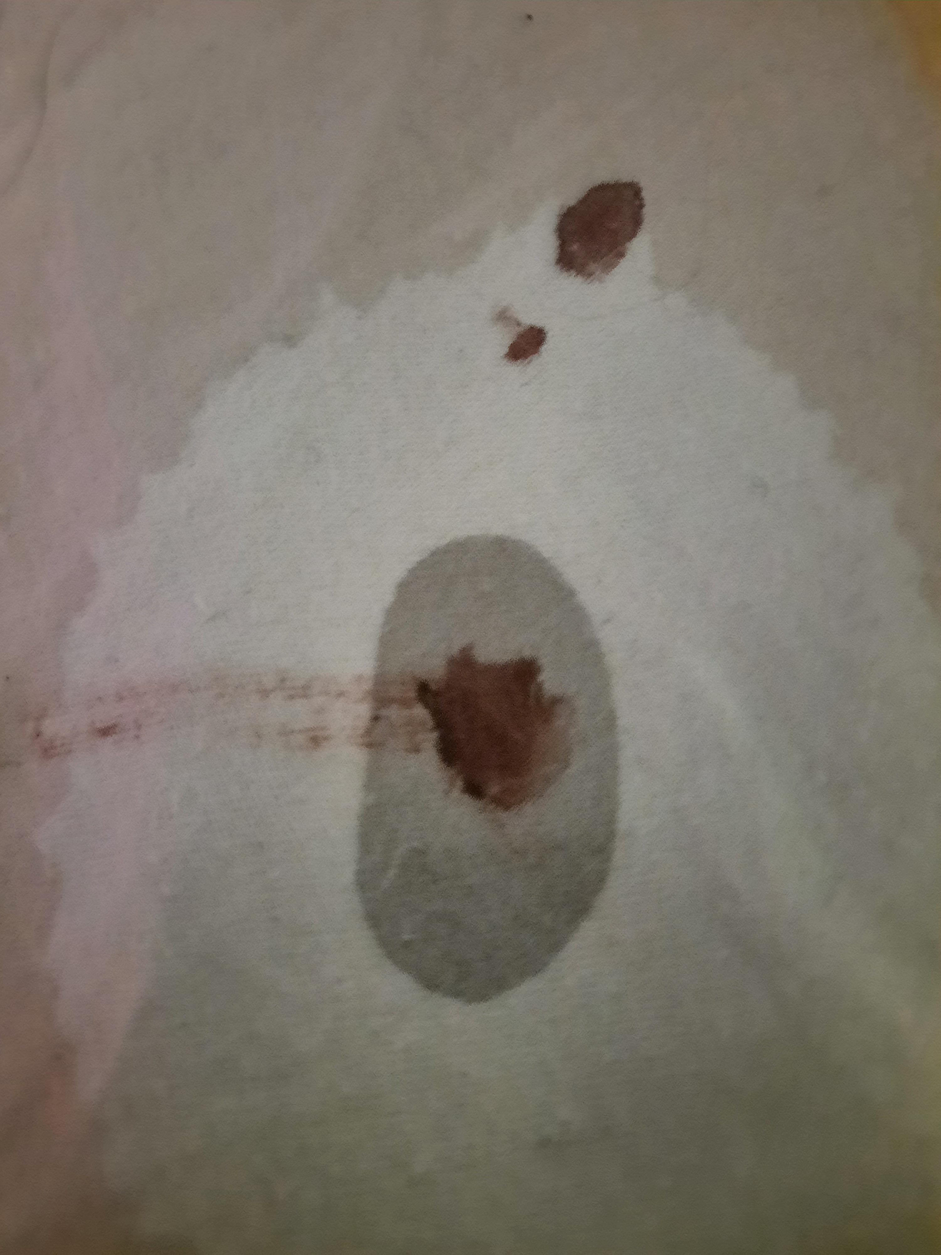 There is blood on my bedsheets. I don't know where it came from. r/Weird