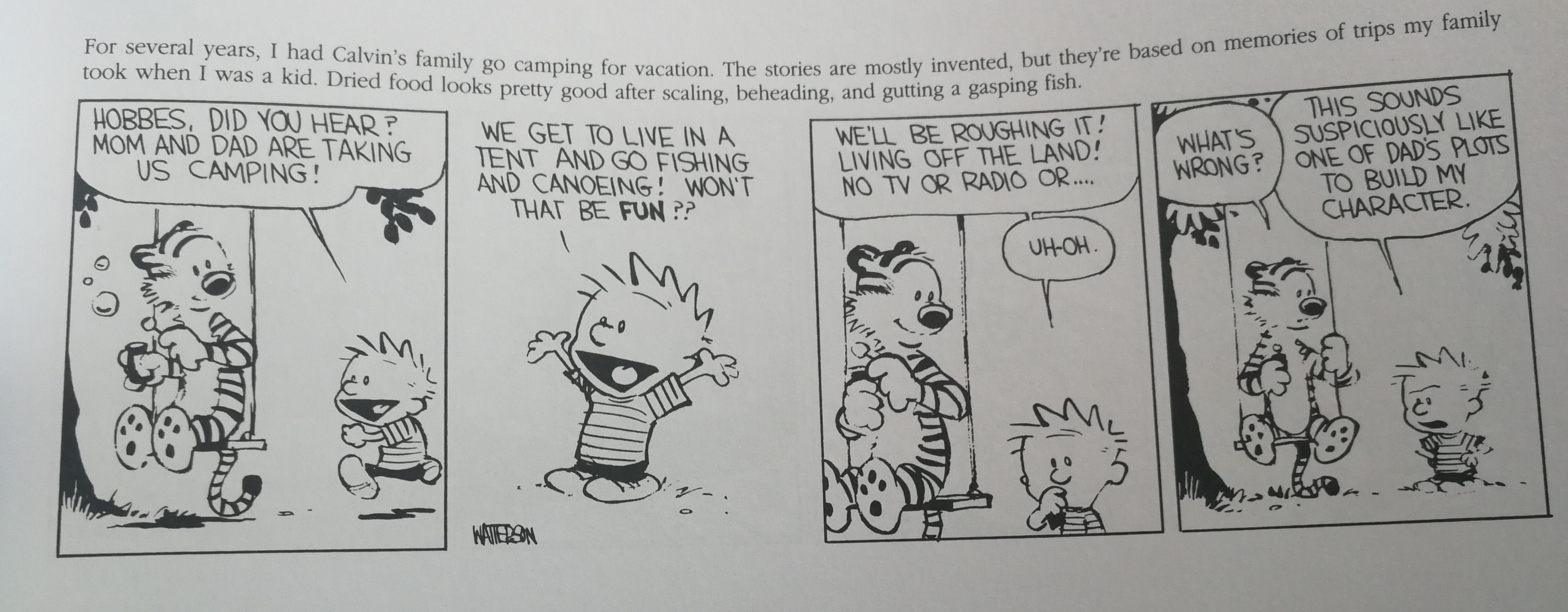 Knowing the Dad's infamous "It builds character" line made me laught at Calvin's suspicion