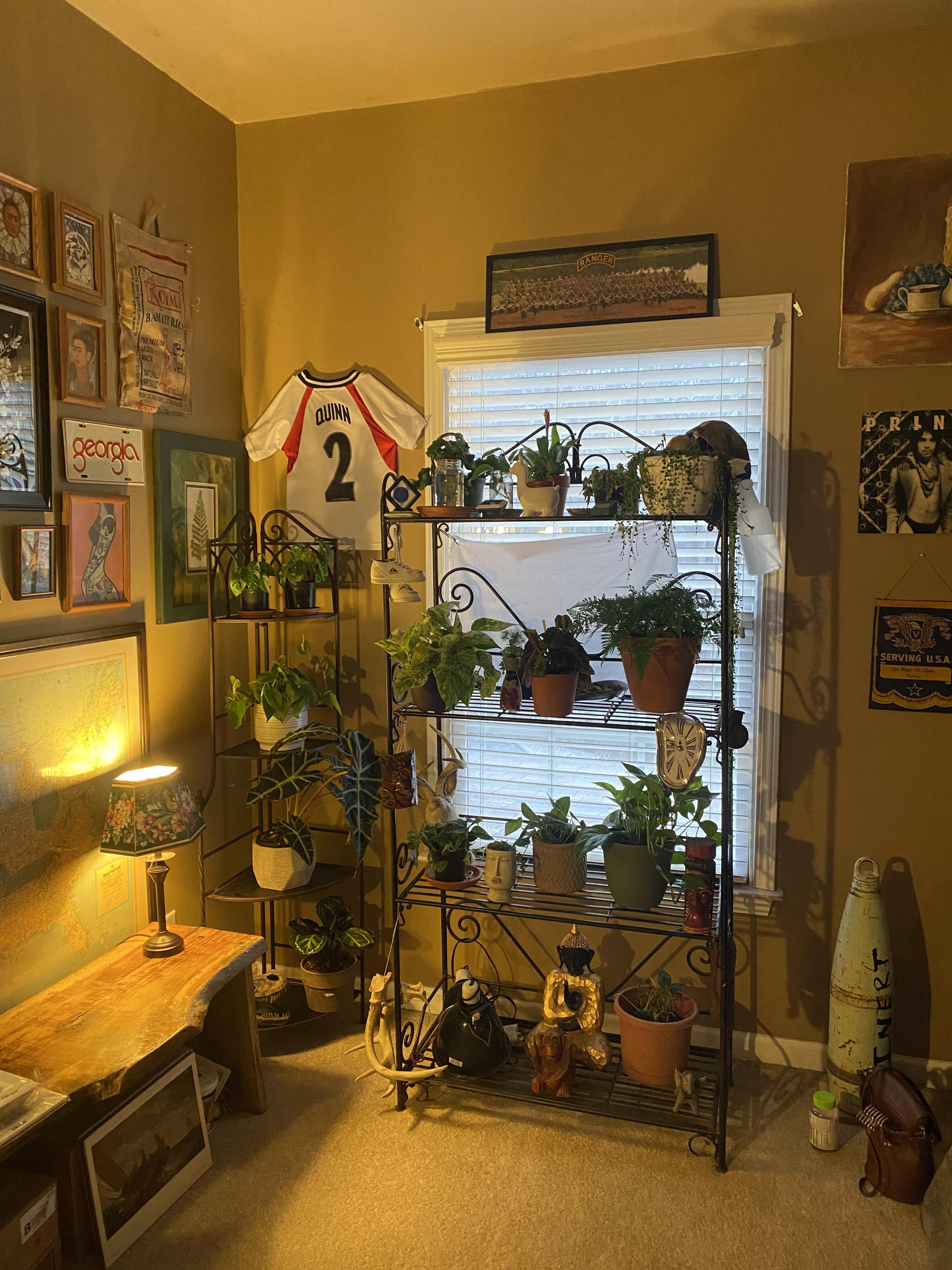 Houseplants are a necessity r/malelivingspace