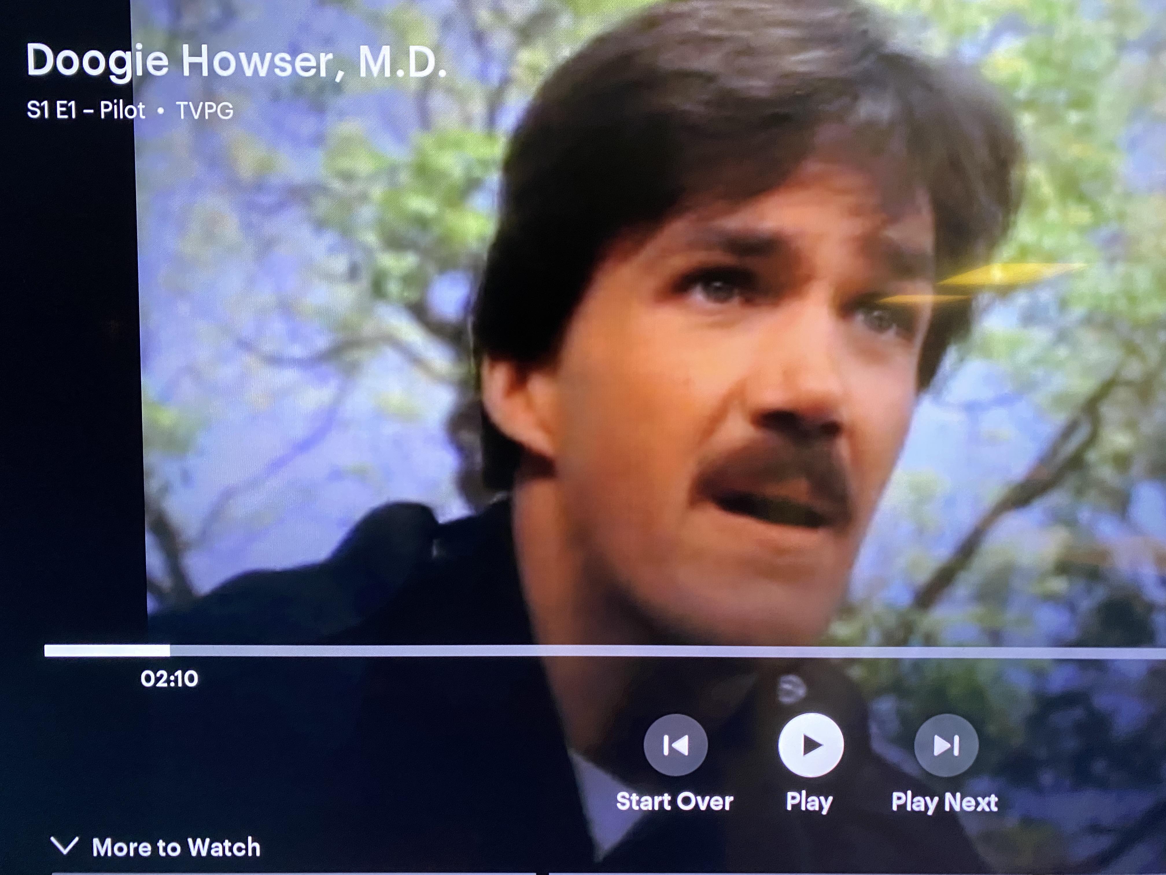 Janitor playing a cop, not in The Fugitive. r/Scrubs