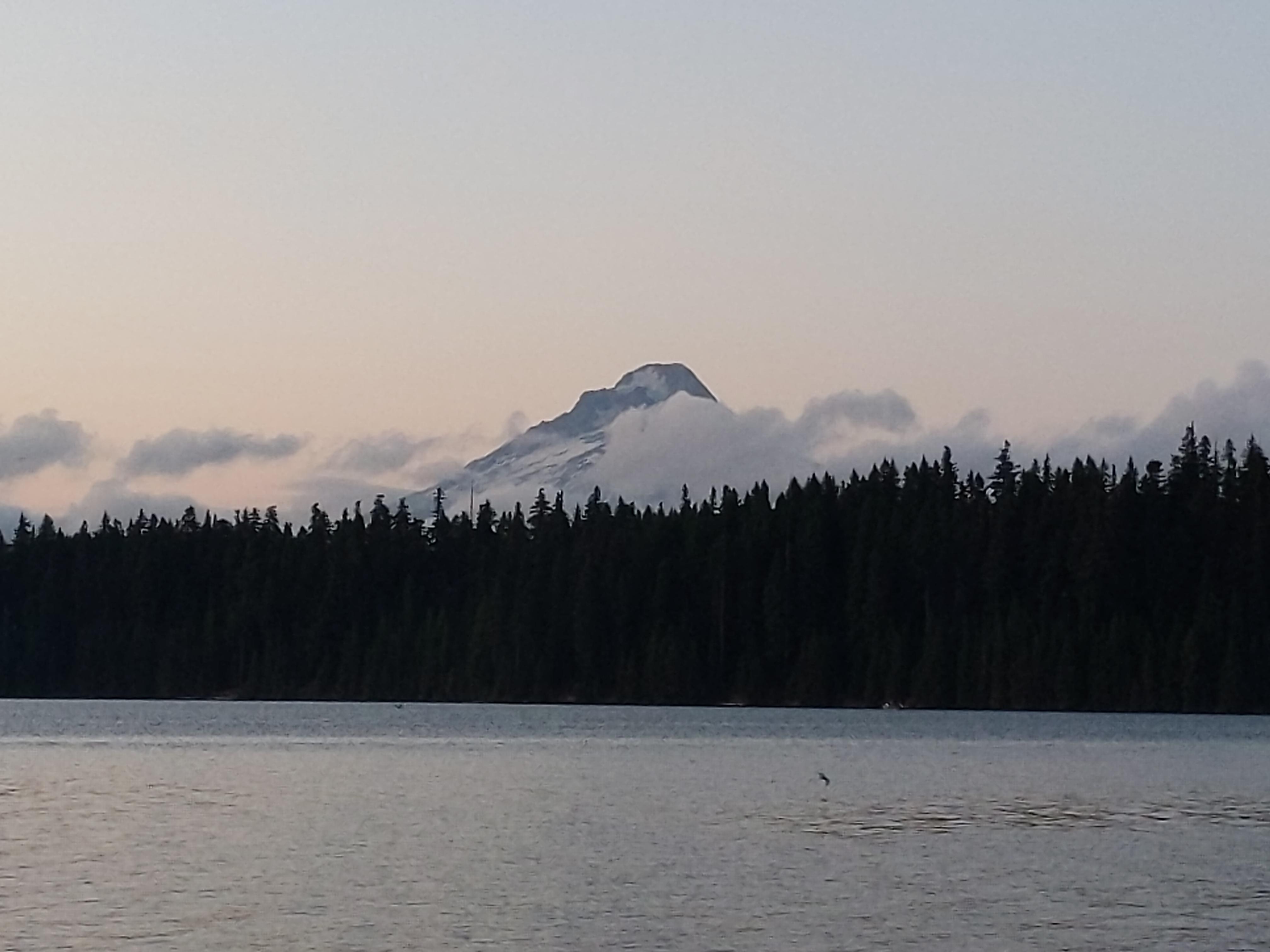 Mount Hood displayed with a clear lake. r/pics