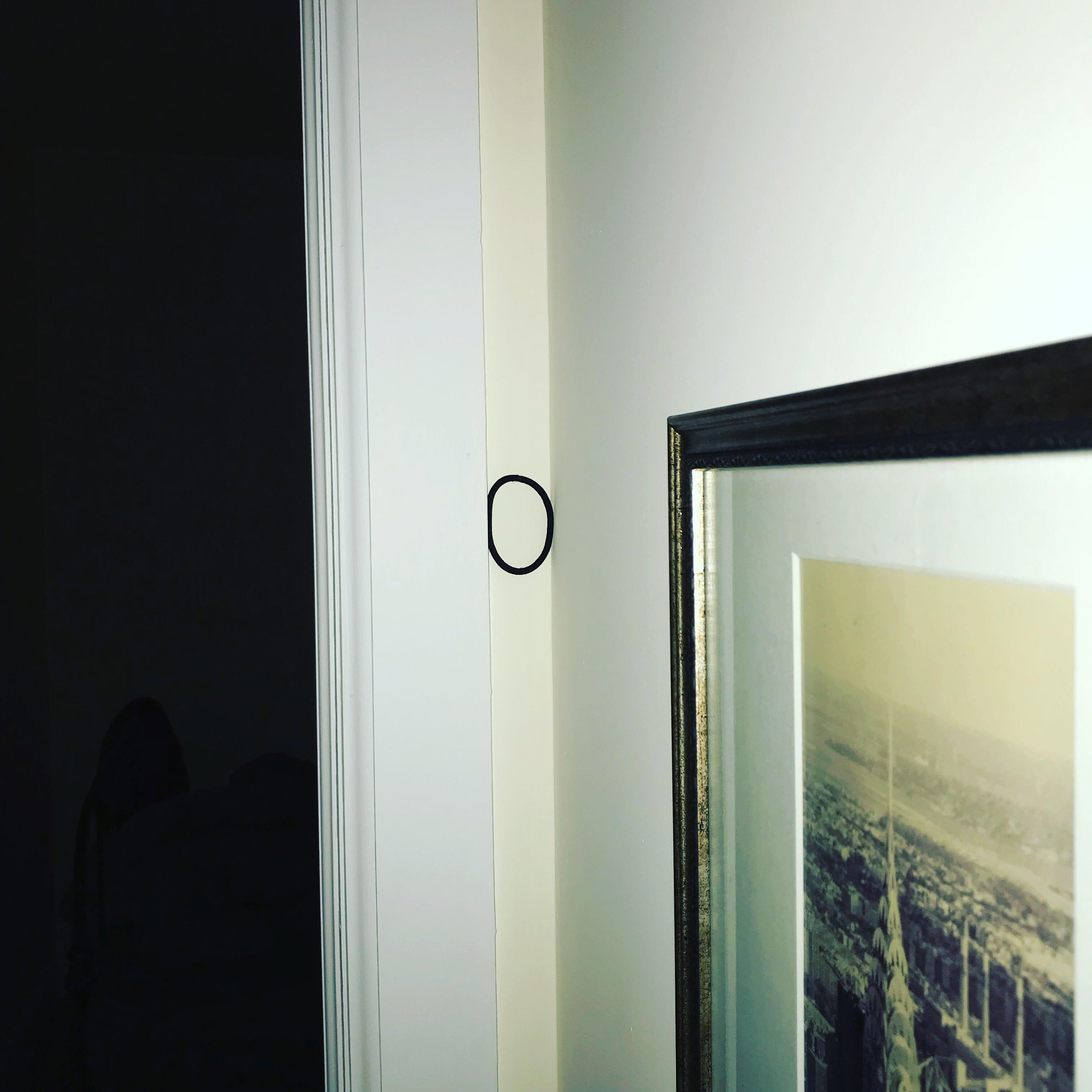 Just threw a hair tie across the room for my cat and this happened r