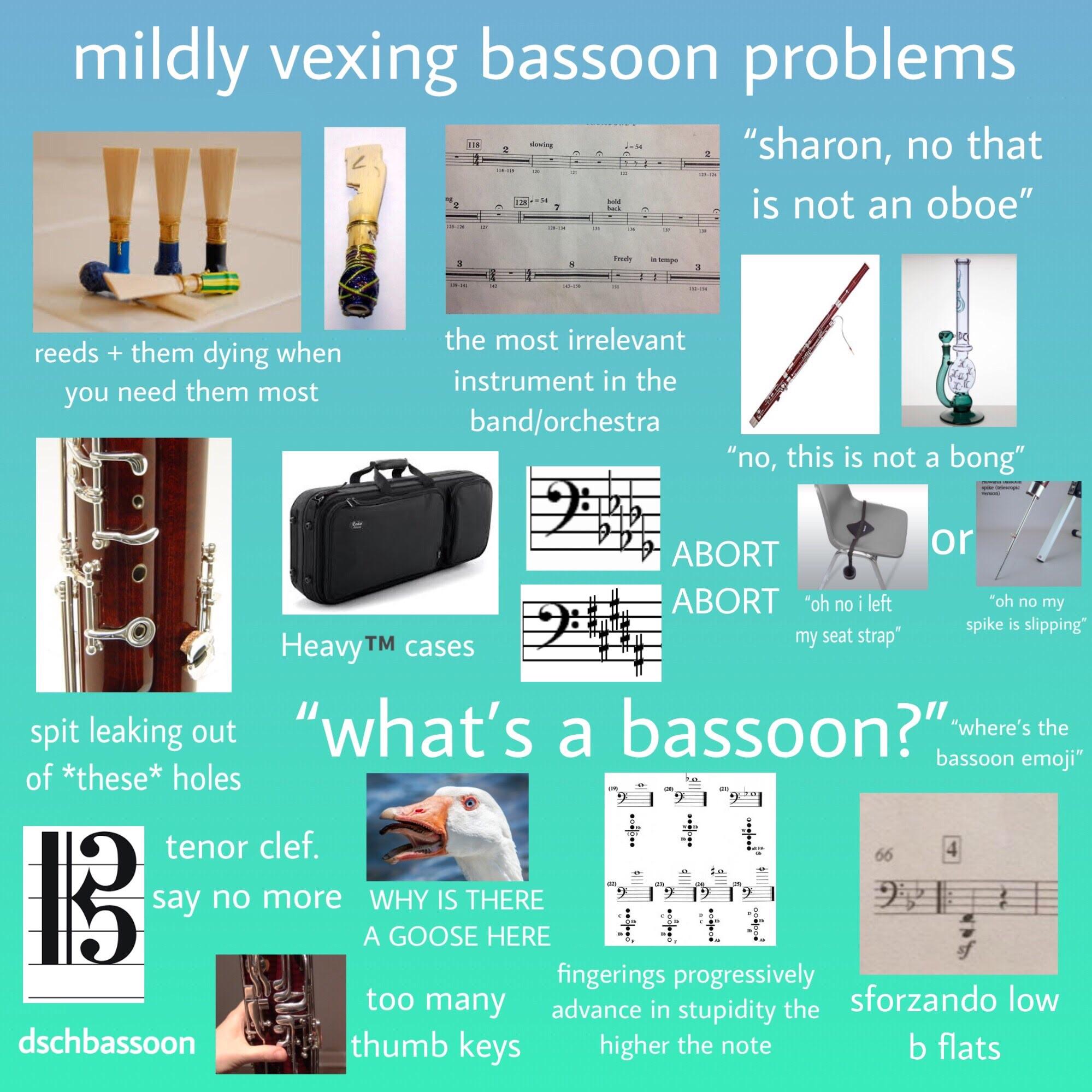 ‘Mildly vexing bassoon problems’ r/bassoon