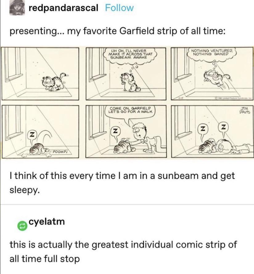 This is the greatest comic strip of all time tumblr
