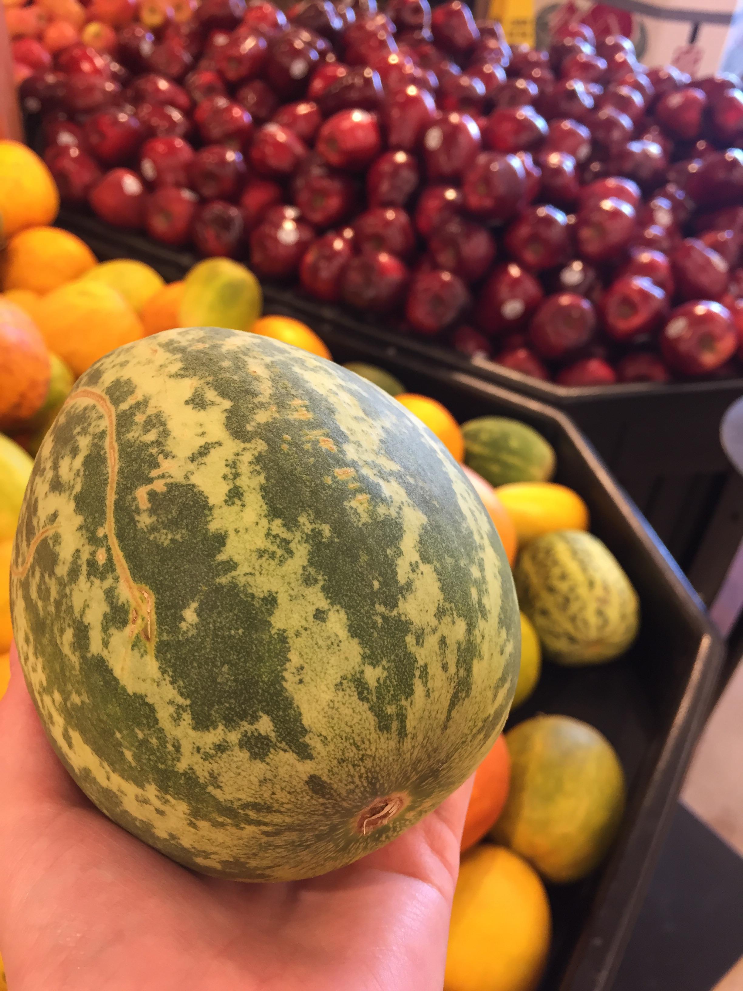 Found this little melon at the Asian market near me. Cuties Overload