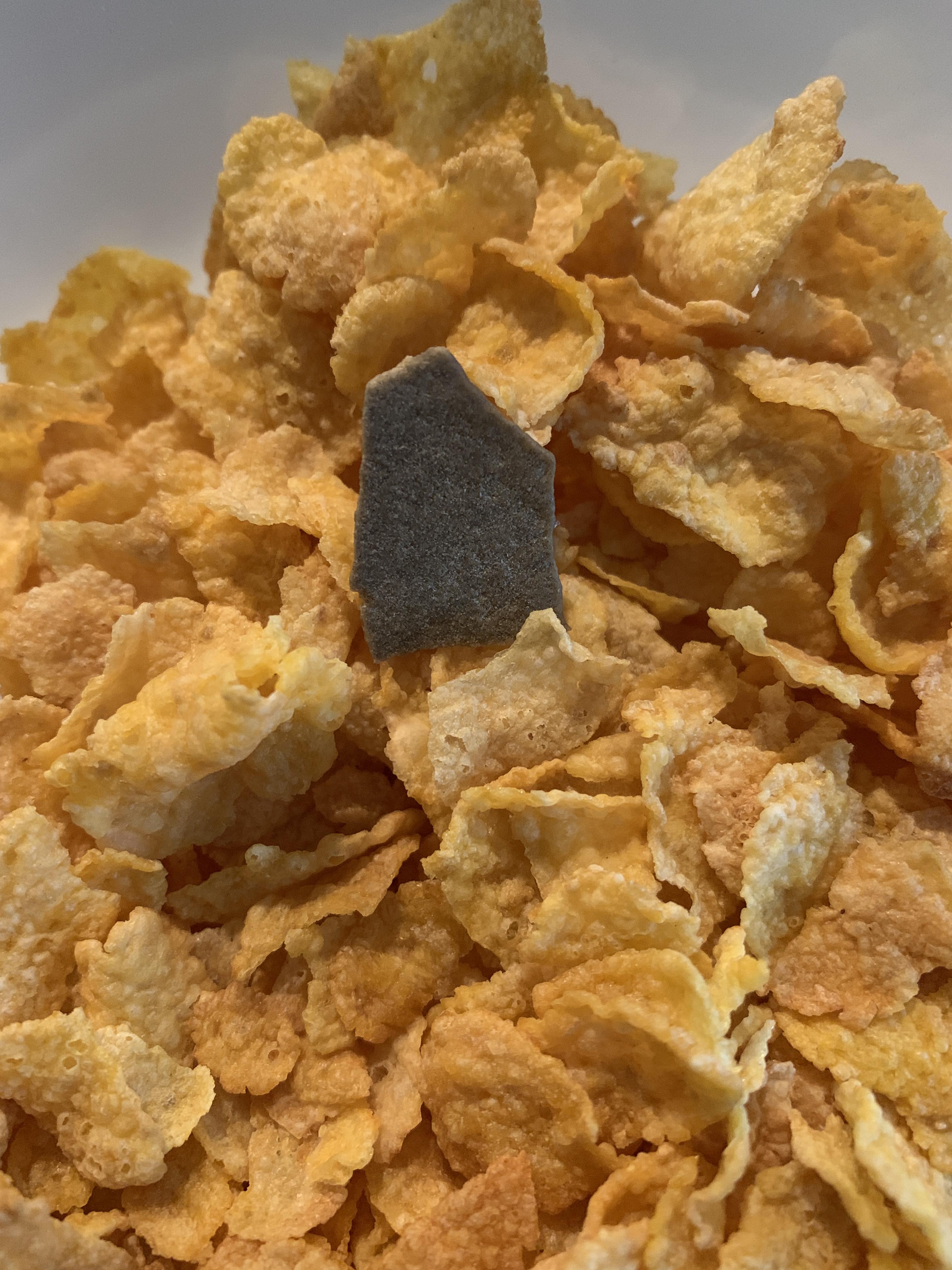 Found this in my cereal today. Smells and tastes like a multivitamin