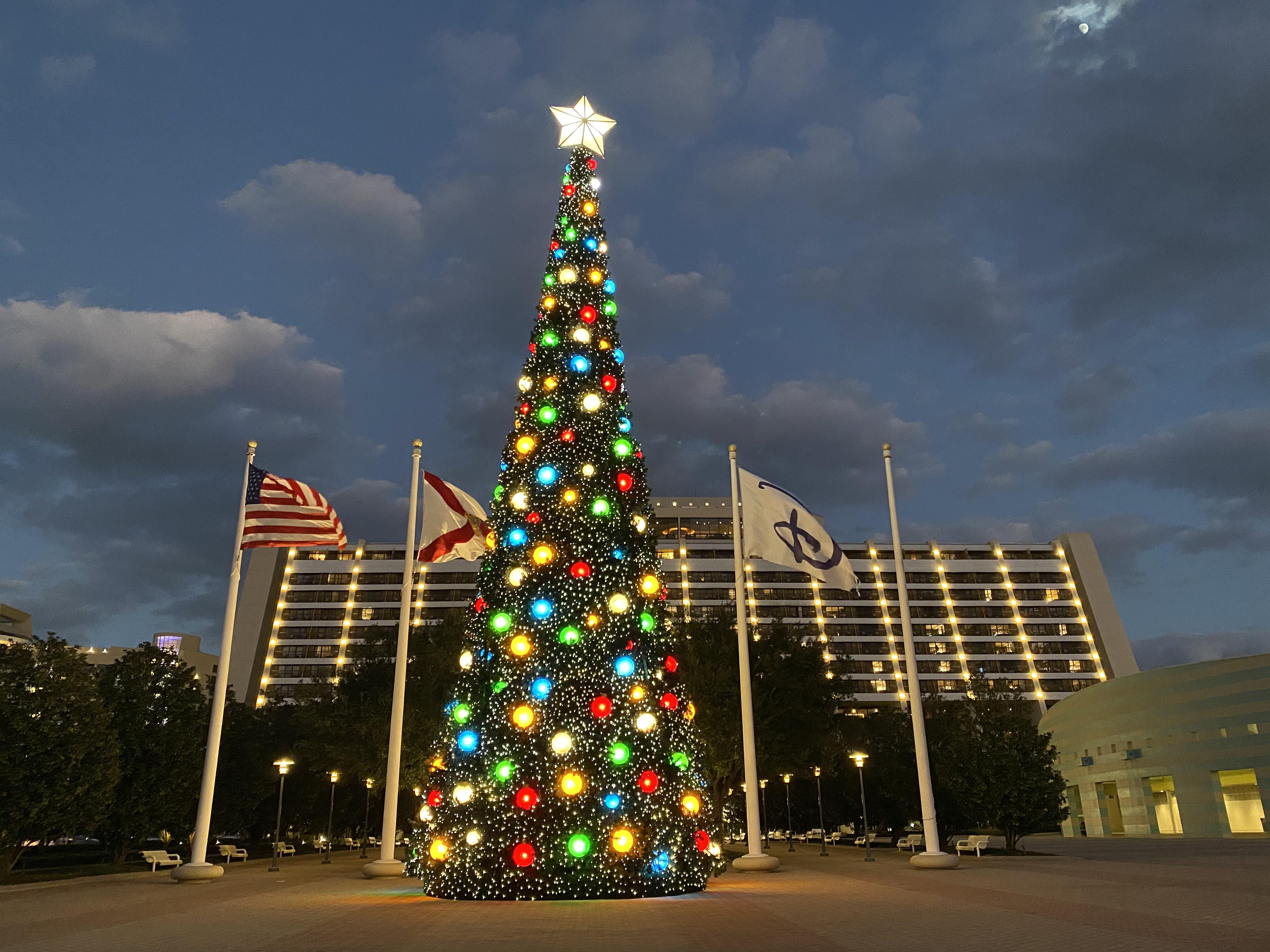 The big Christmas tree outside the Contemporary resort. r/WaltDisneyWorld