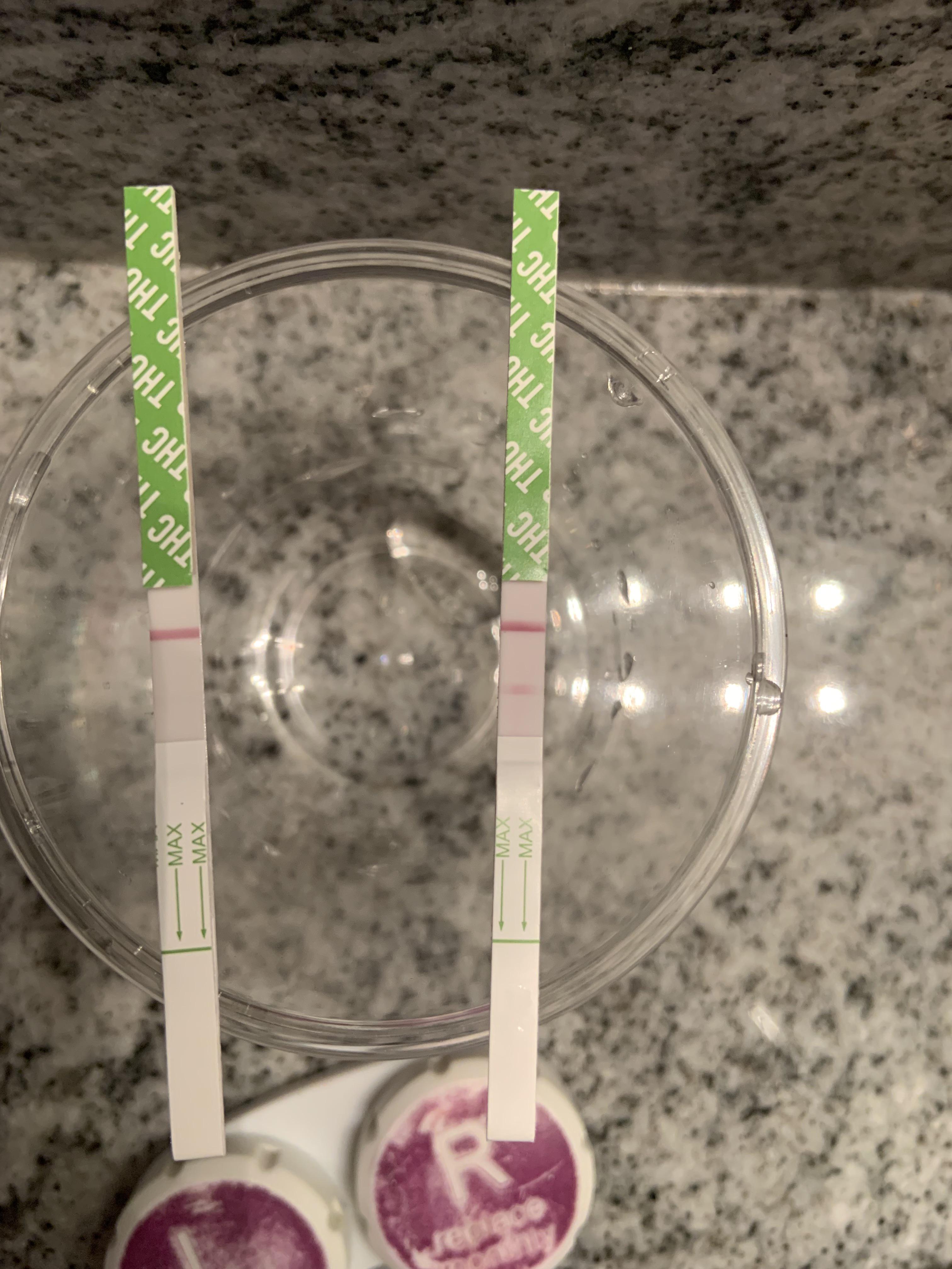 overview for TheseButterscotch365