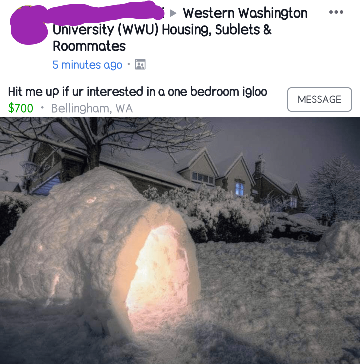 Someone offered an igloo for rent yesterday. r/Bellingham