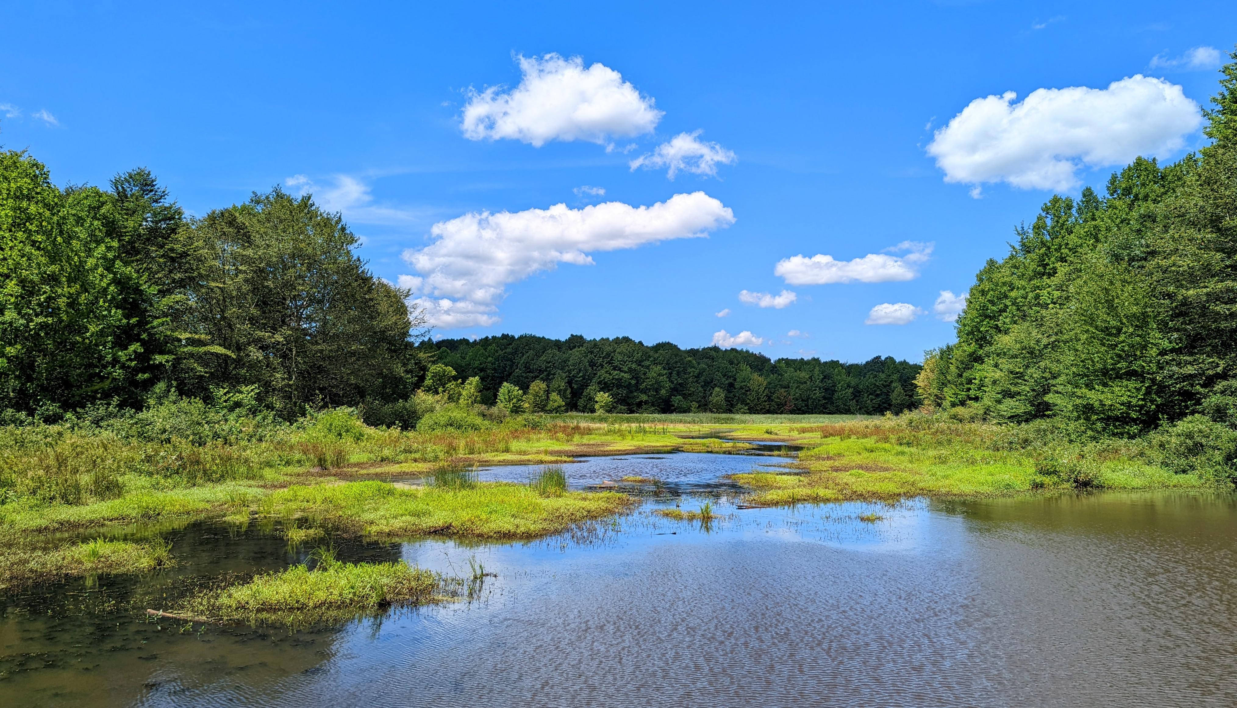 Montville Swamp, Geauga County, Ohio, USA [4057x2322] [OC] r/EarthPorn