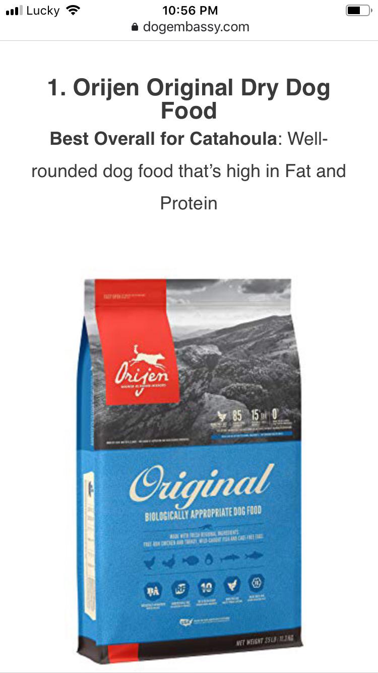 What are you feeding your catahoula? I recently switched to this brand