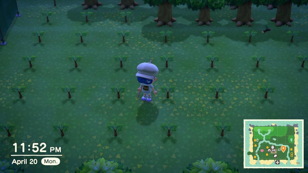 Will my trees grow if they’re placed this far apart? r/AnimalCrossing