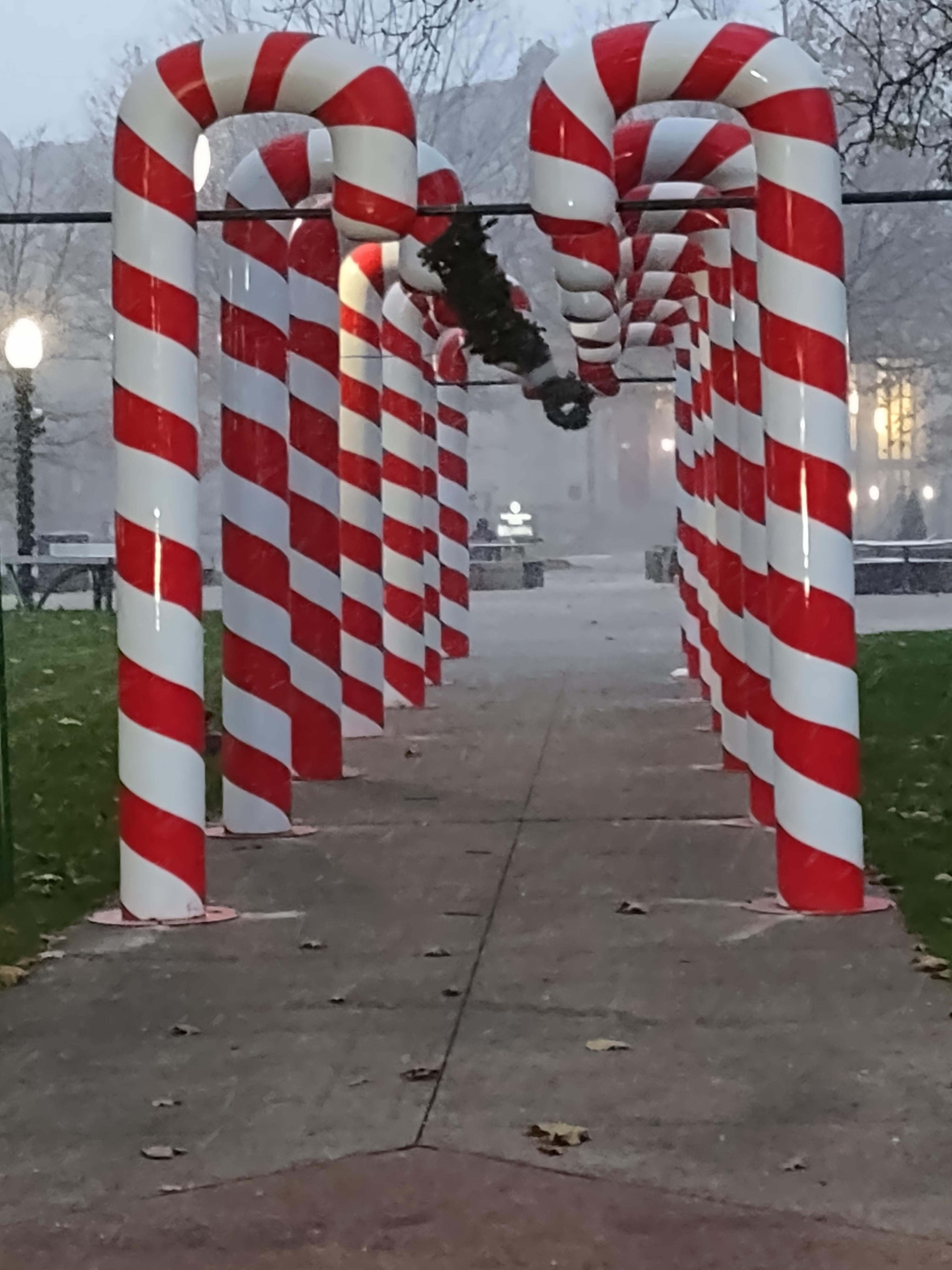 Bronson Park in Kalamazoo, Michigan r/pics