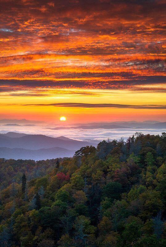 Blue Ridge Parkway near Asheville NC. r/Outdoors