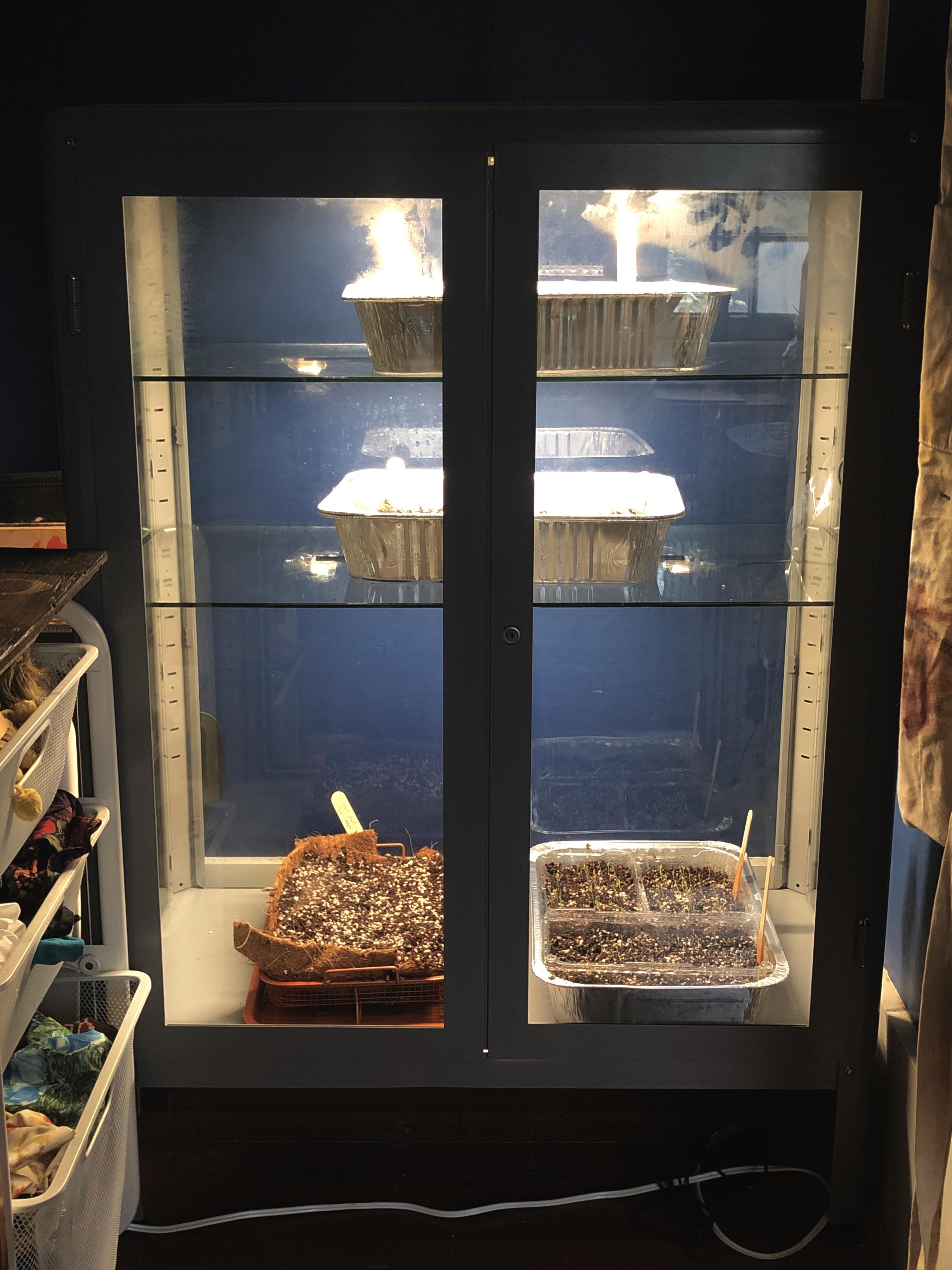 Diy Greenhouse Ikea Greenhouse Glass For Indoor