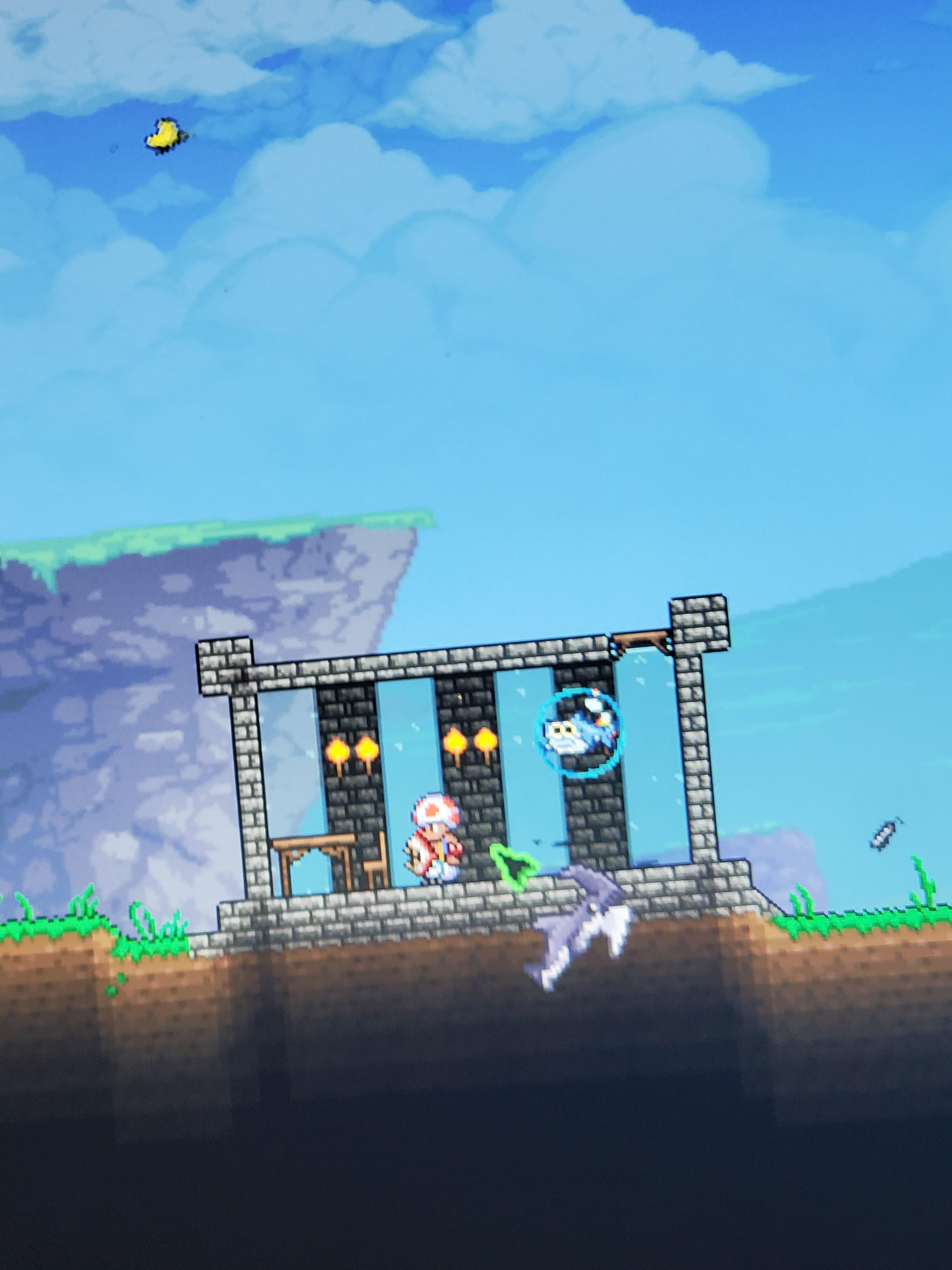Made a little cage for the Zoologist, hehe. r/Terraria
