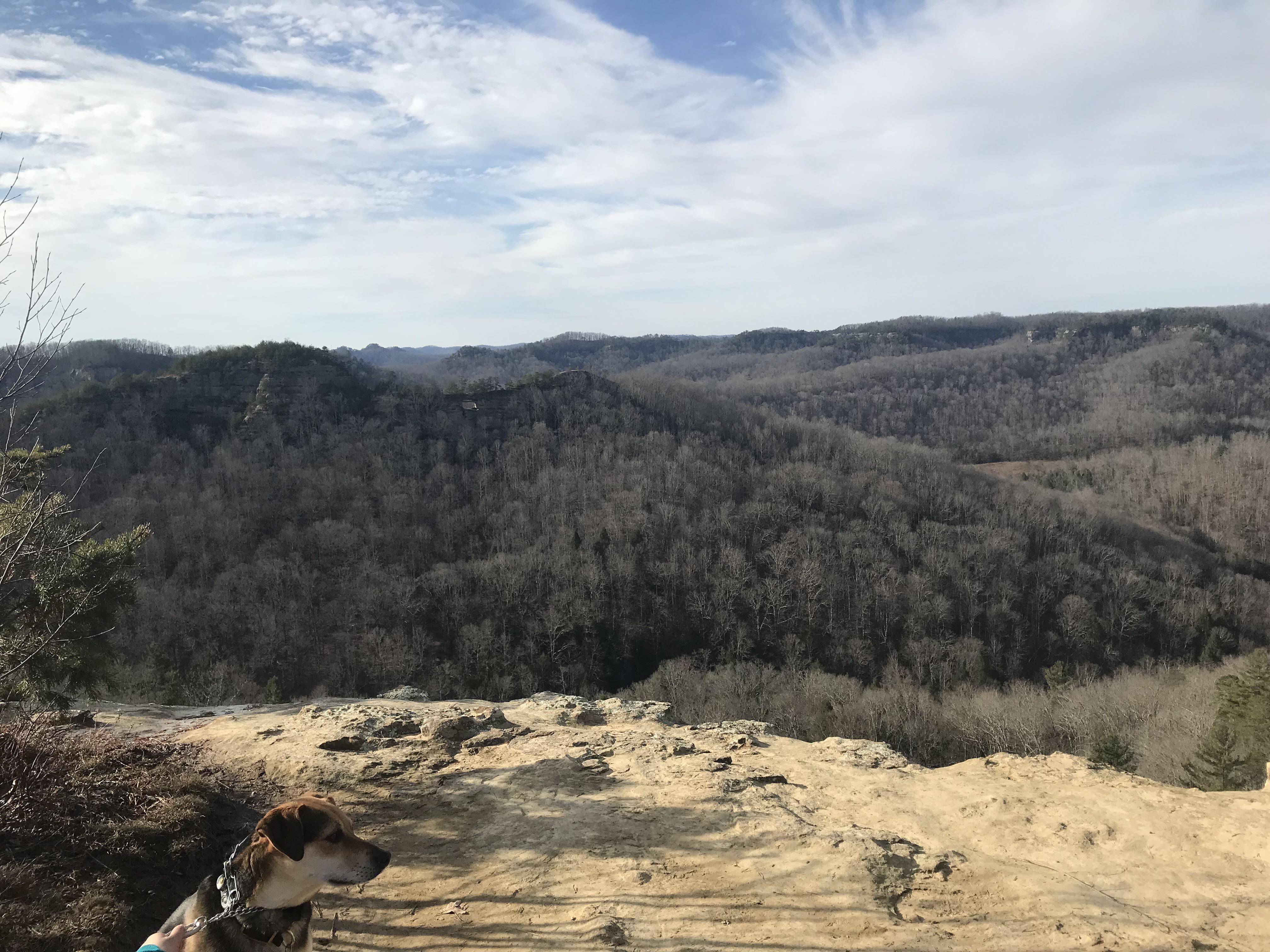 Red River Gorge Hiking Trails View from Auxier Ridge Trail in Red River This is my favorite