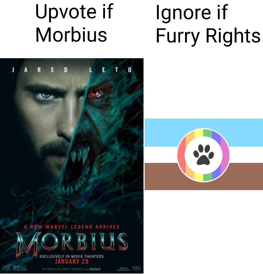 its morbin time shitposting