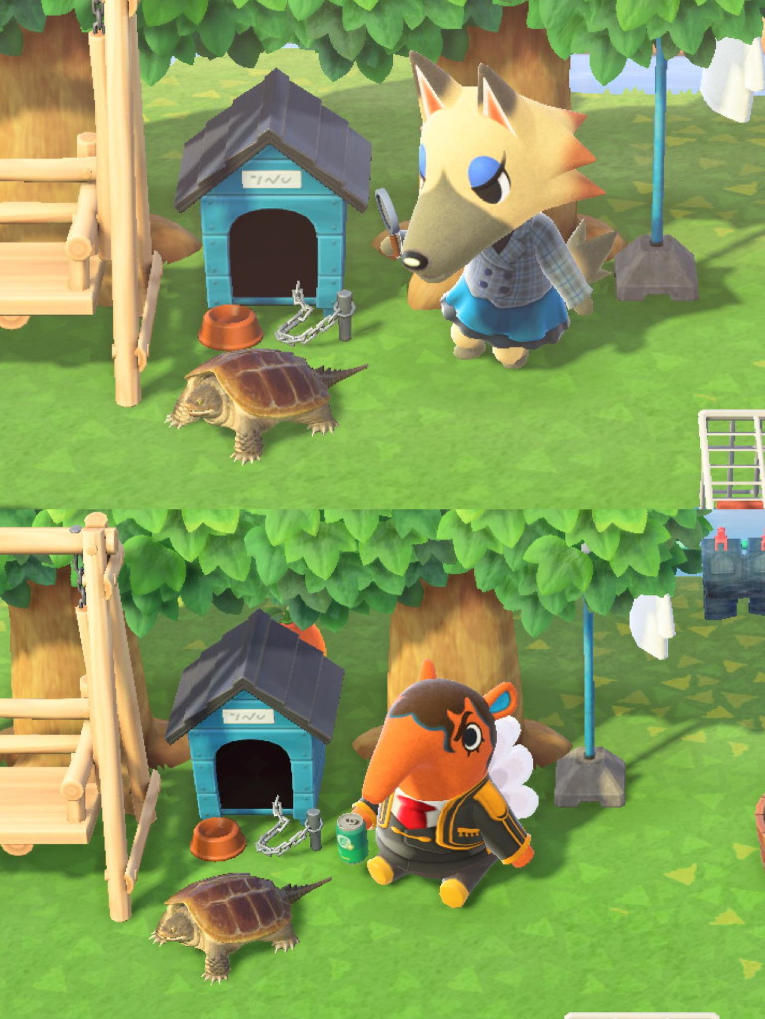 Pets In Animal Crossing Anna Blog