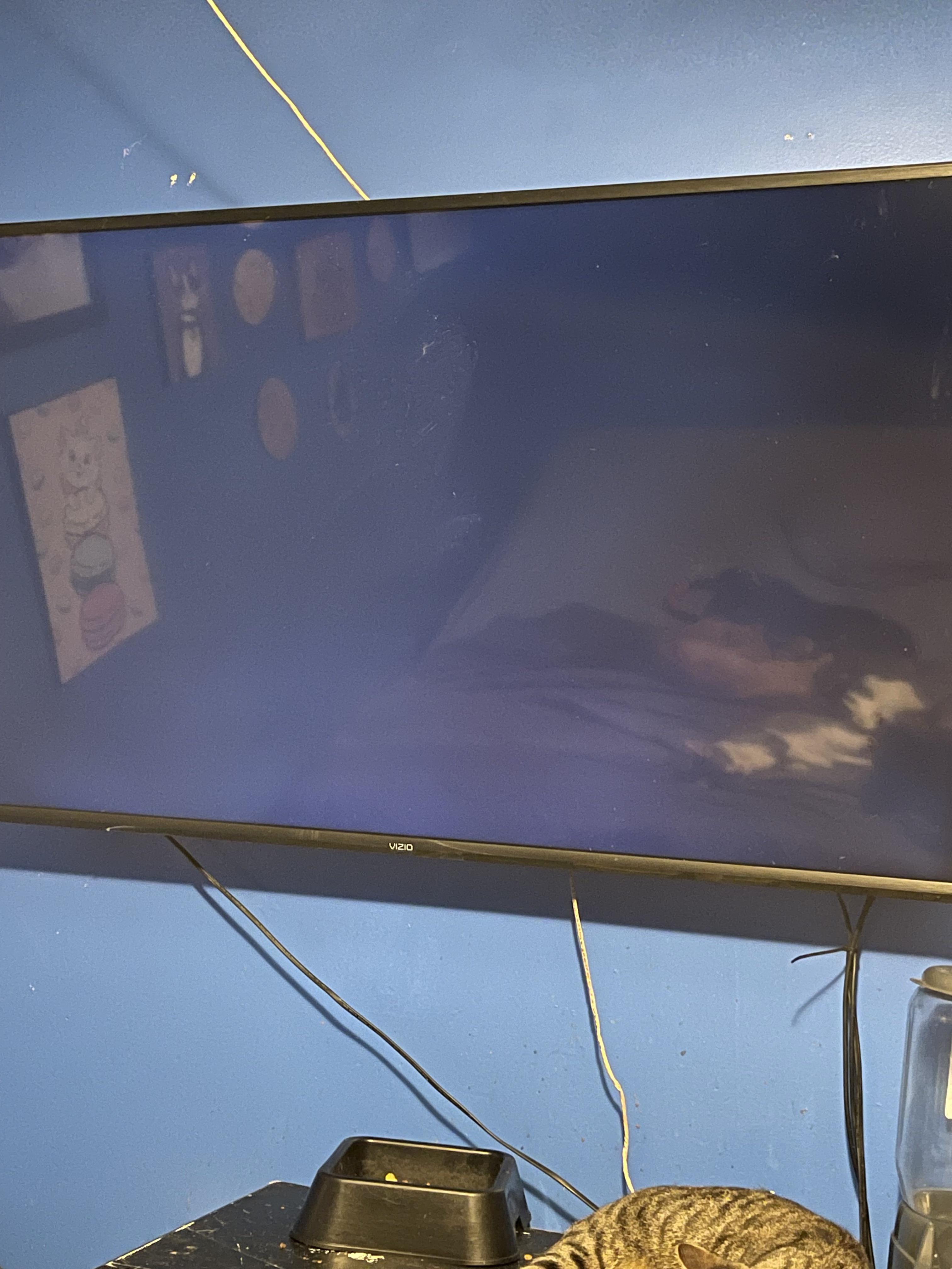 My VIZIO TV screen isn’t working r/TVRepair