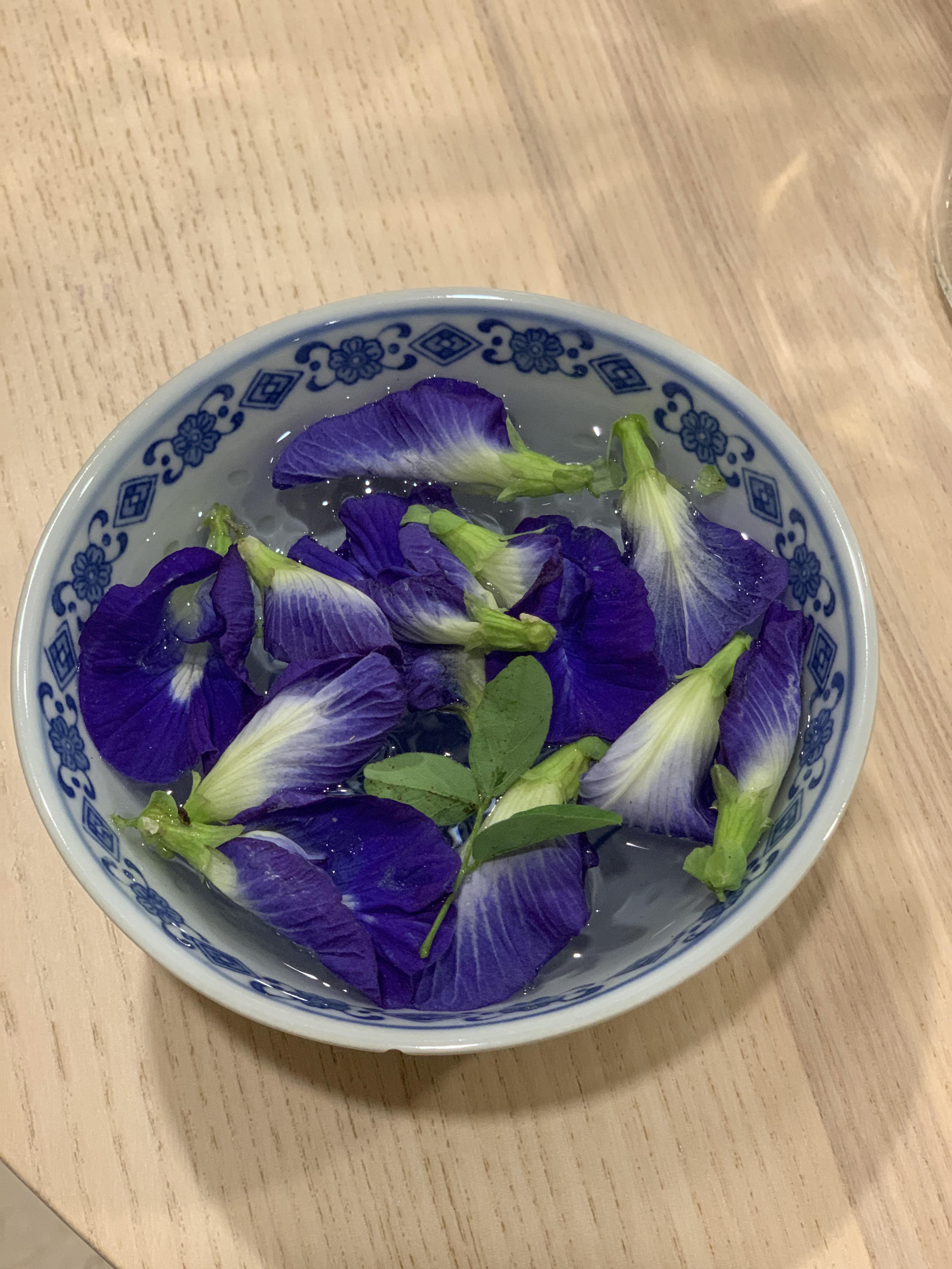 Has anyone tried making booch with butterfly pea flowers? r/Kombucha