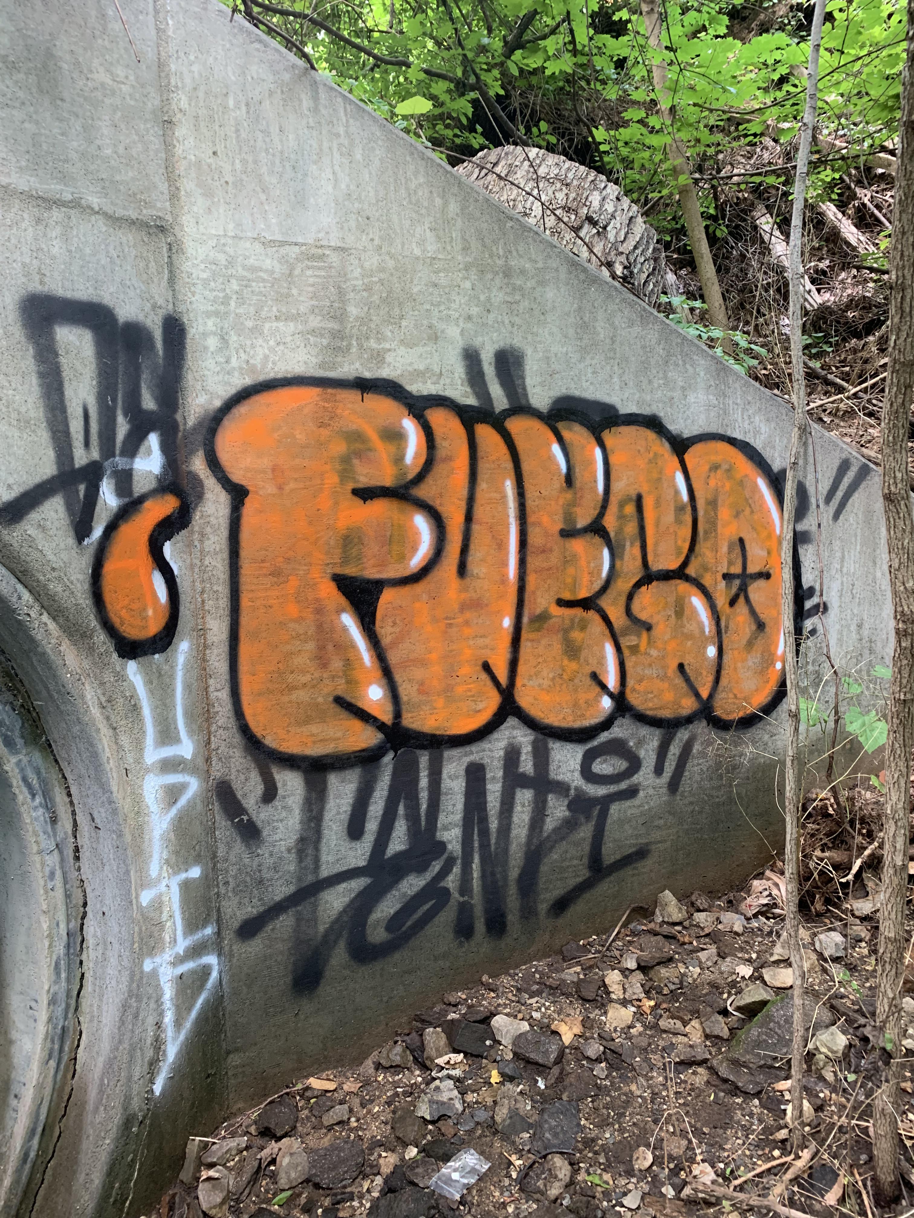 First throw up ever. Just got new caps what y’all think r/Graffiti