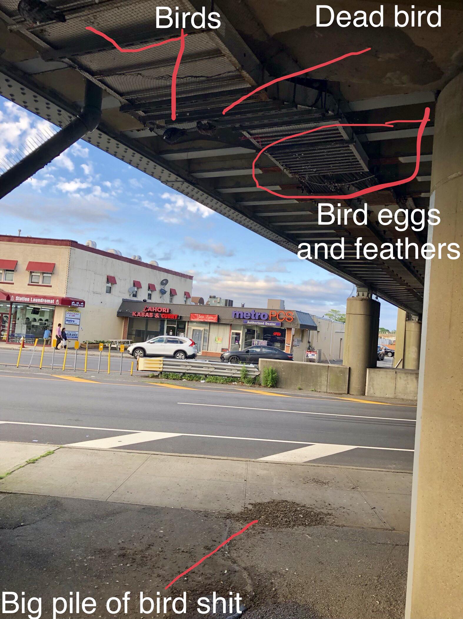 Hicksville train station is a giant birds nest r/longisland