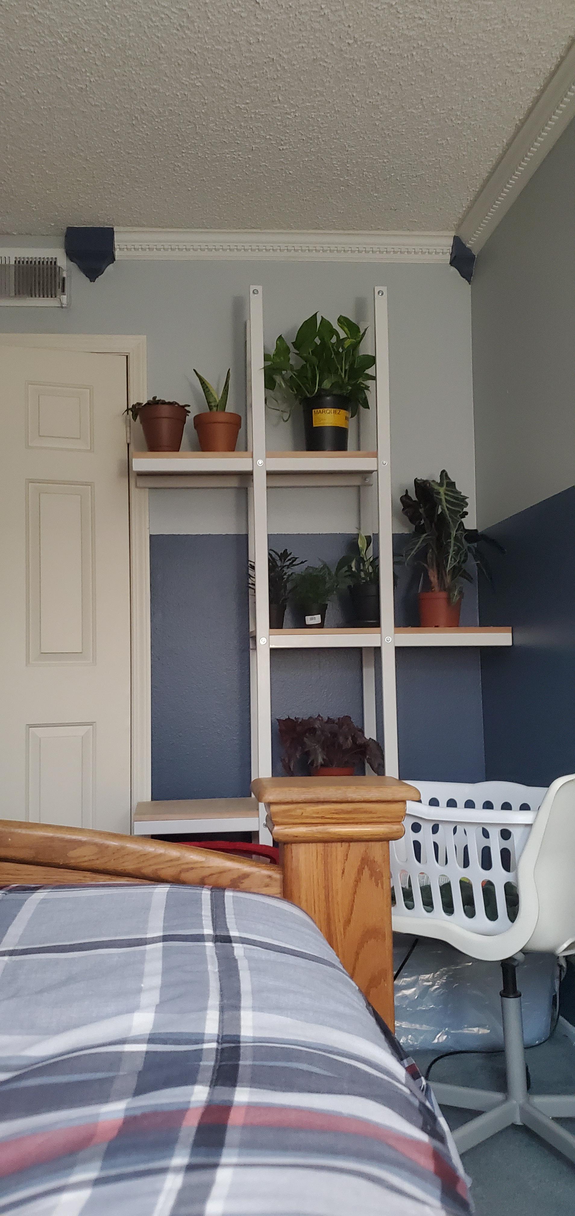 This is my bedroom plant shelf. Any ideas what to put in the empty one